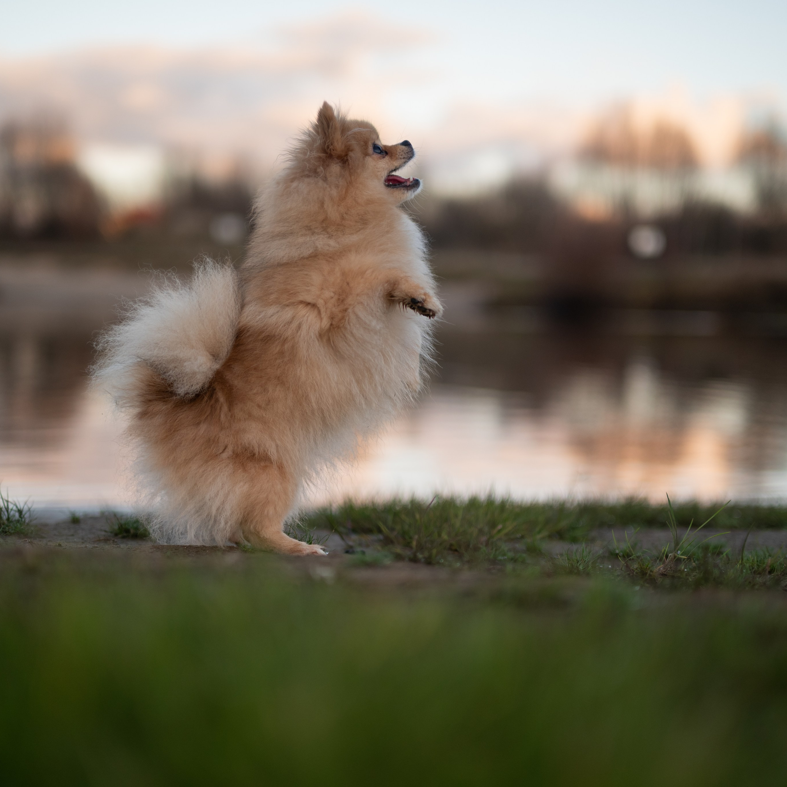 Откройте для себя волшебство  мира Мишель, запечатленное в фотографии, которая подчеркивает ее уникальные черты.