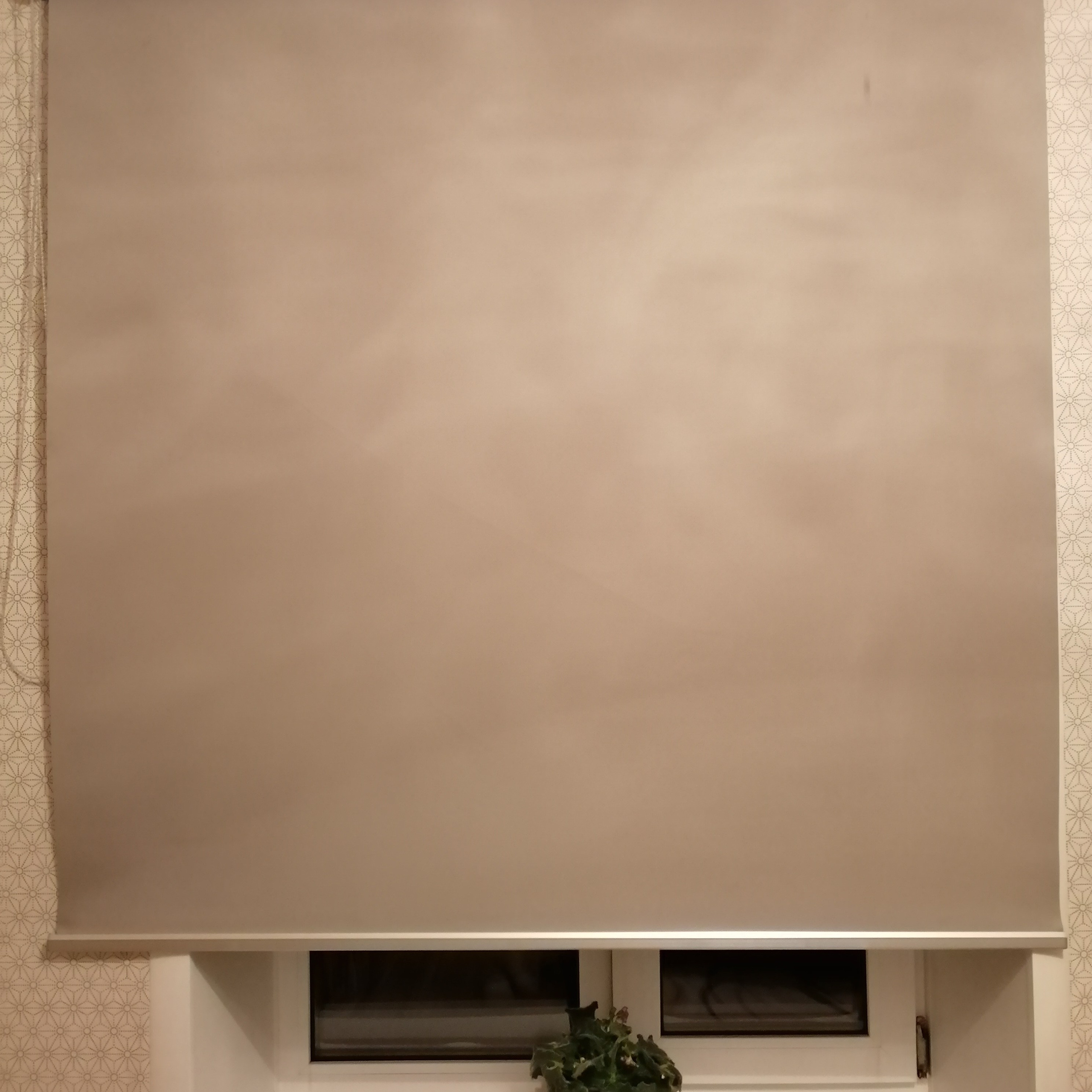 Главная. Портфолио