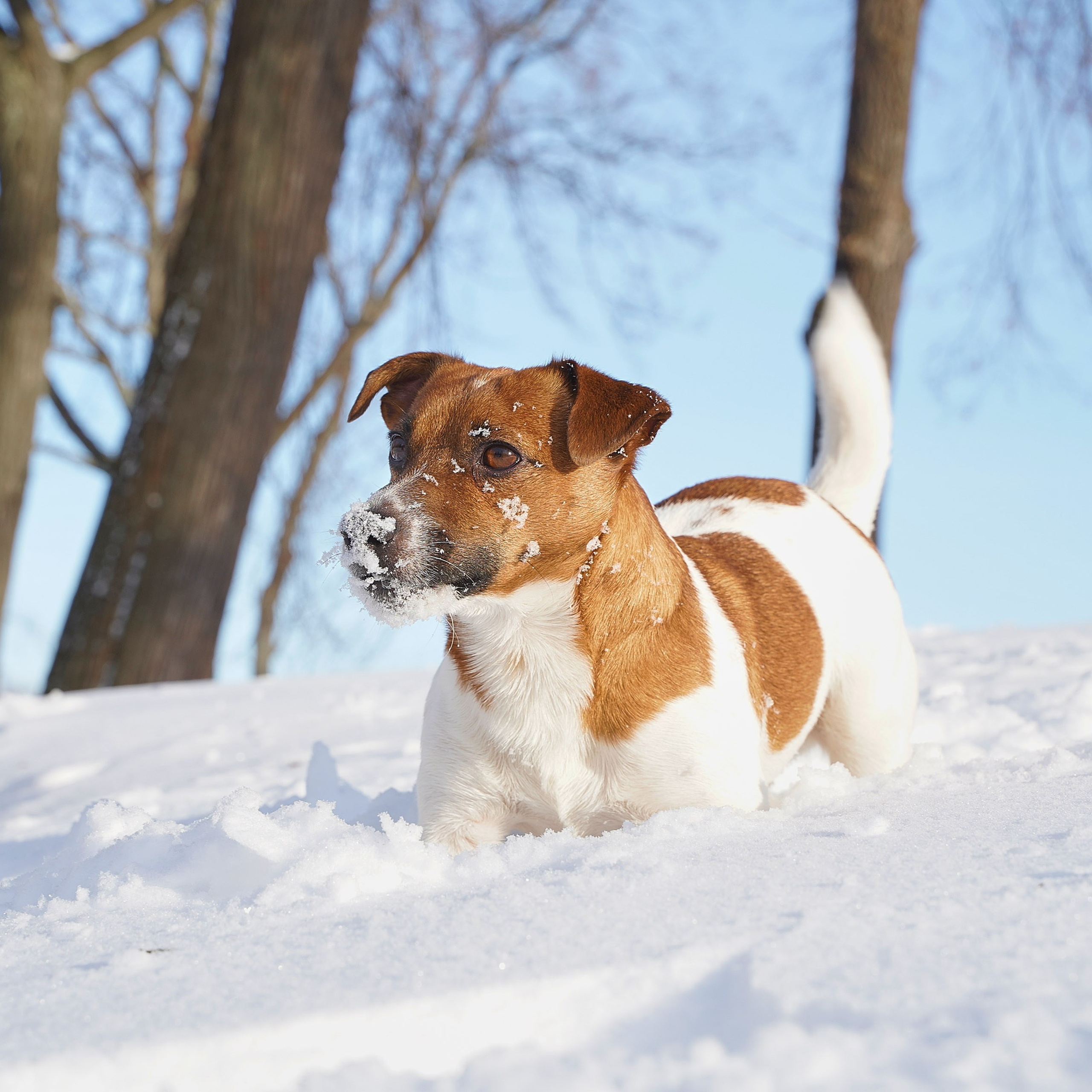 Отзывы. Артем Ракаев — фотограф и видеомейкер из Санкт-Петербурга