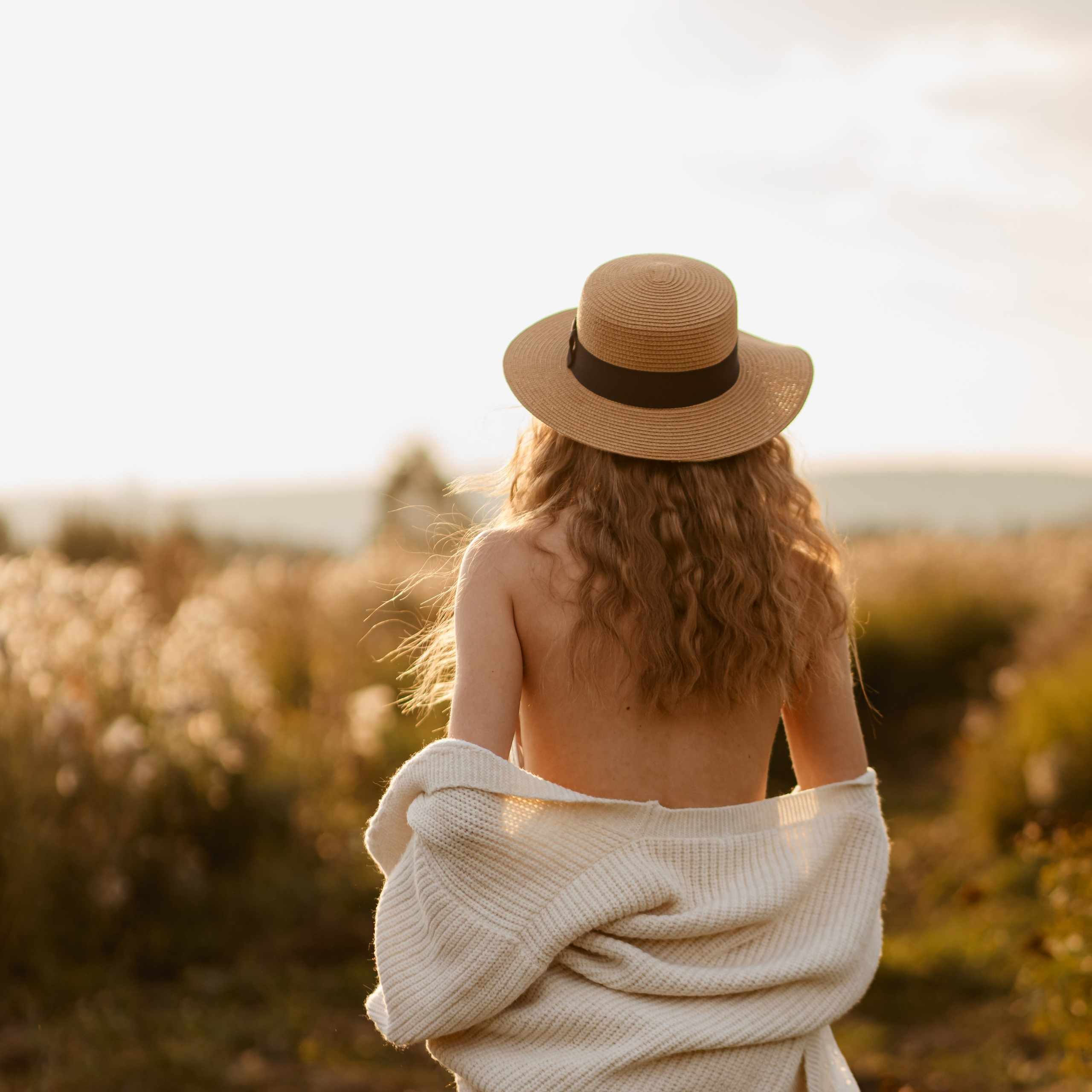 Закат, поле