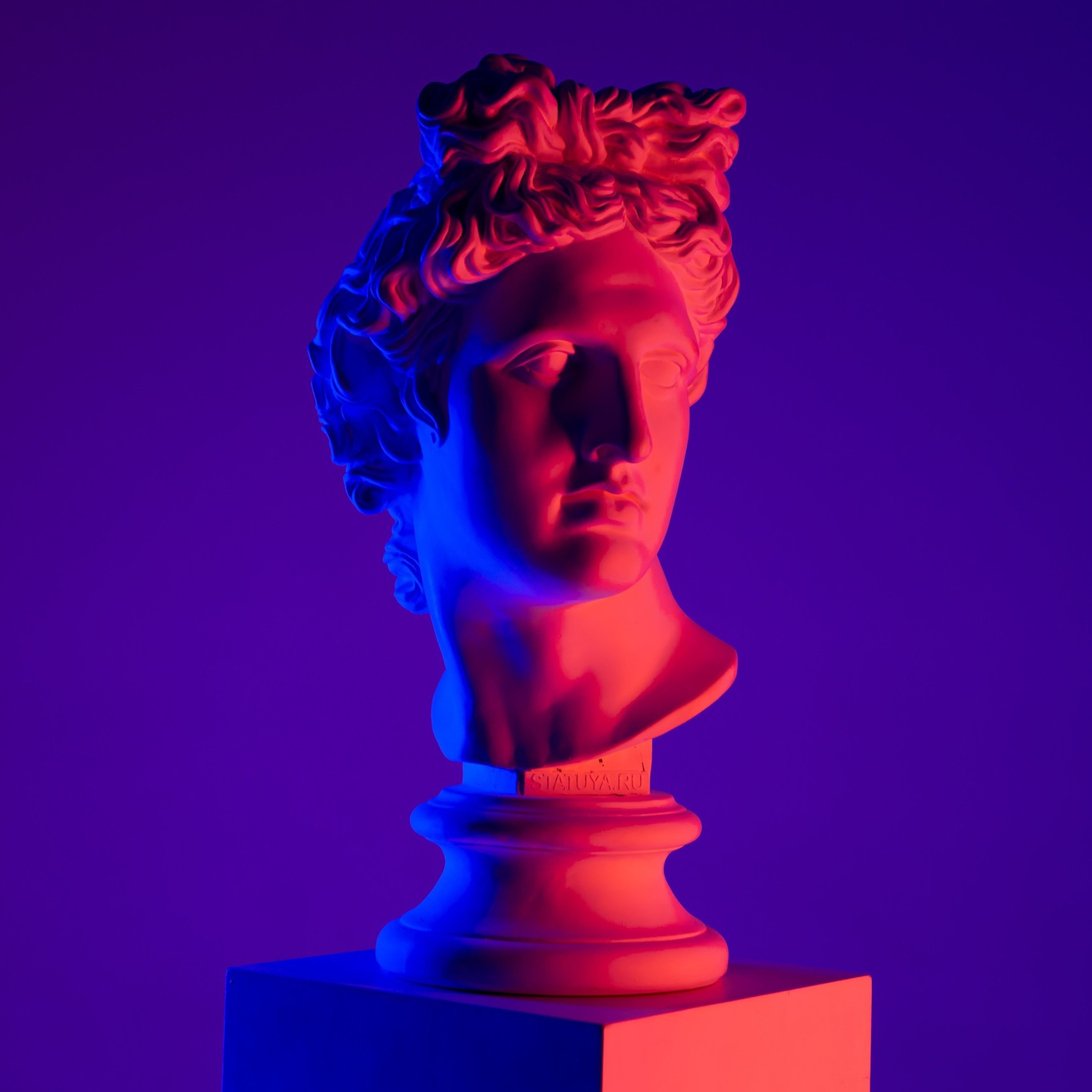 Все фотостудии Липецка. Свадебный и семейный фотограф Виолетта в Липецке