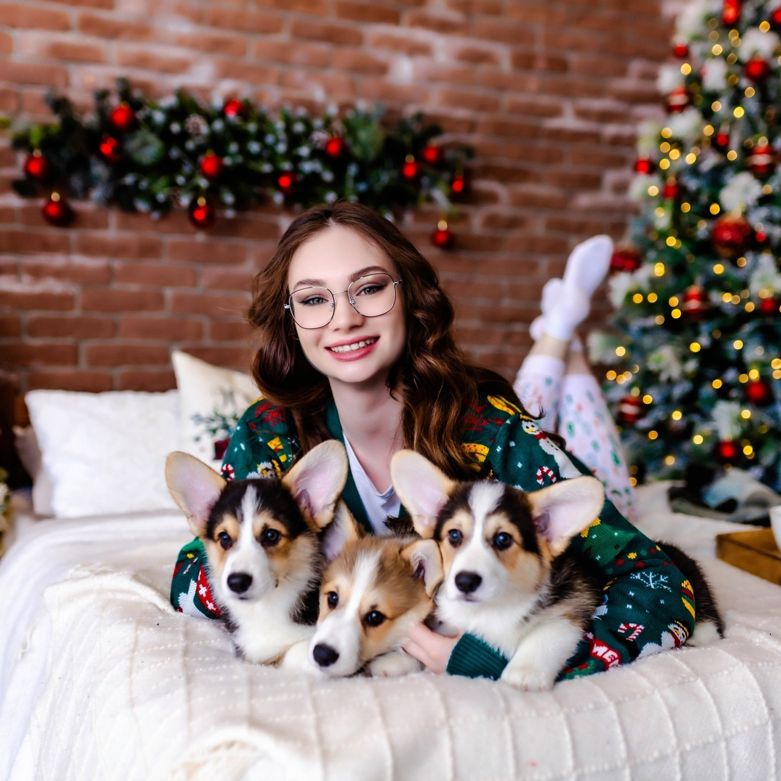 Фотопроект с&nbsp;Корги