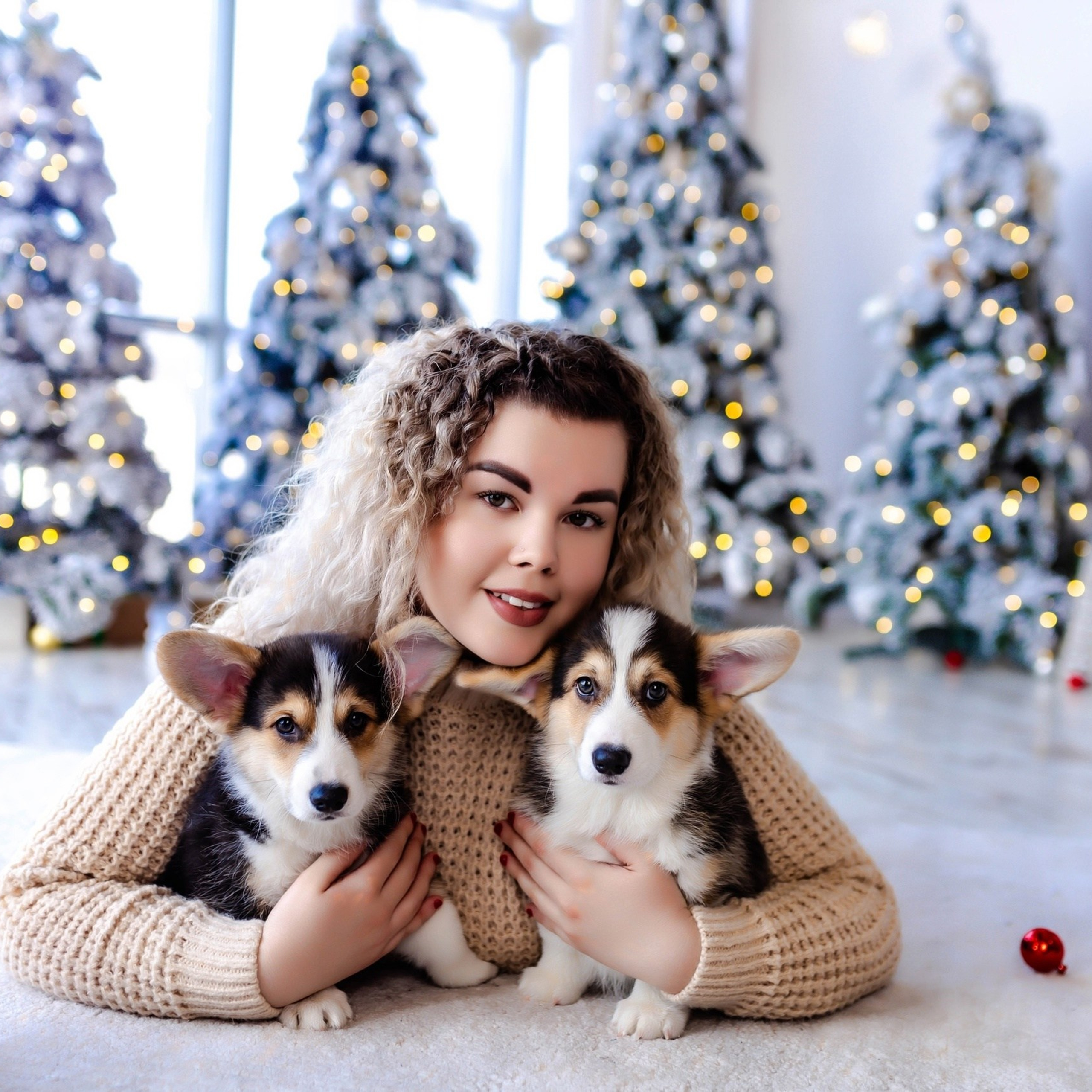 Фотопроект с Корги