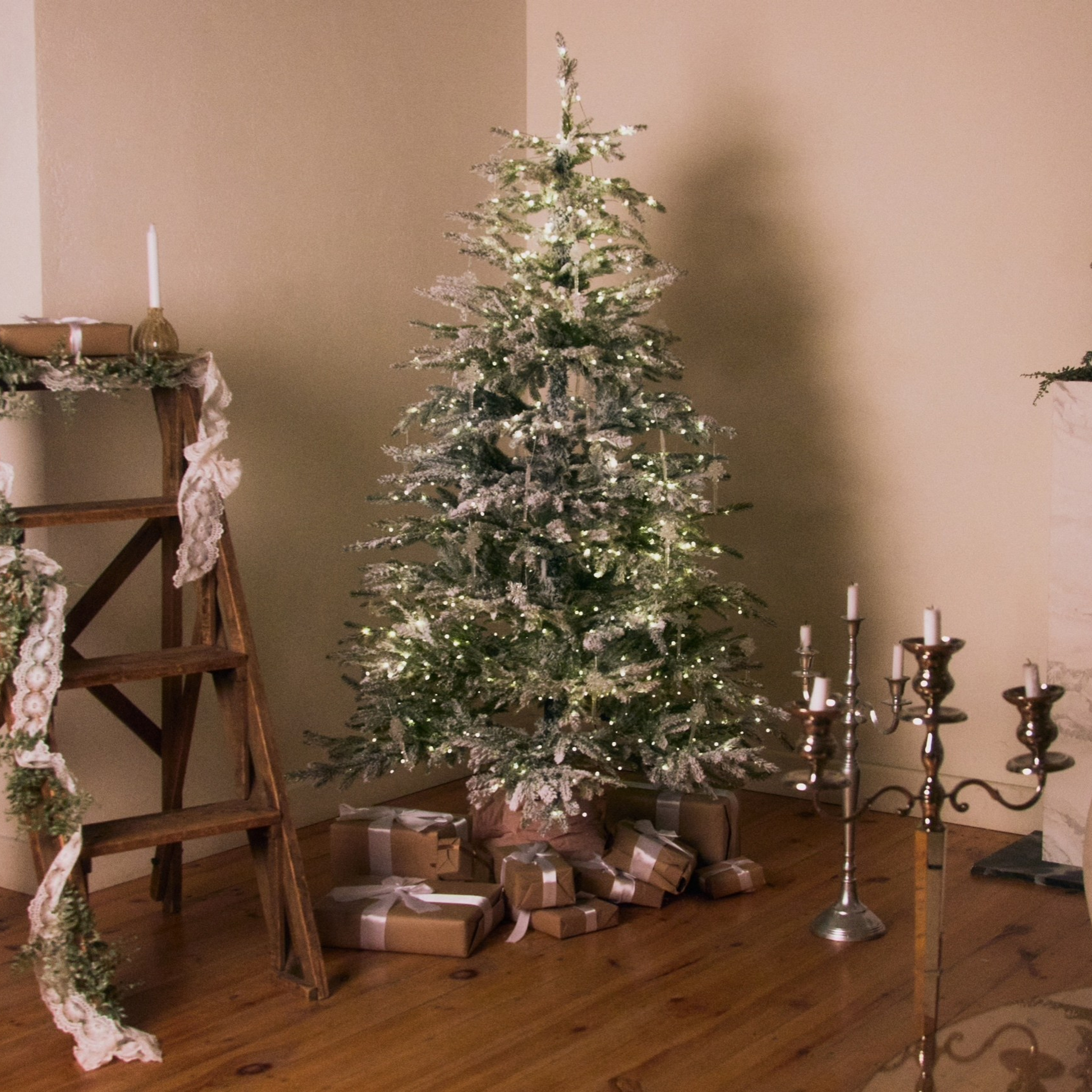 Все фотостудии Липецка. Свадебный и семейный фотограф Виолетта в Липецке