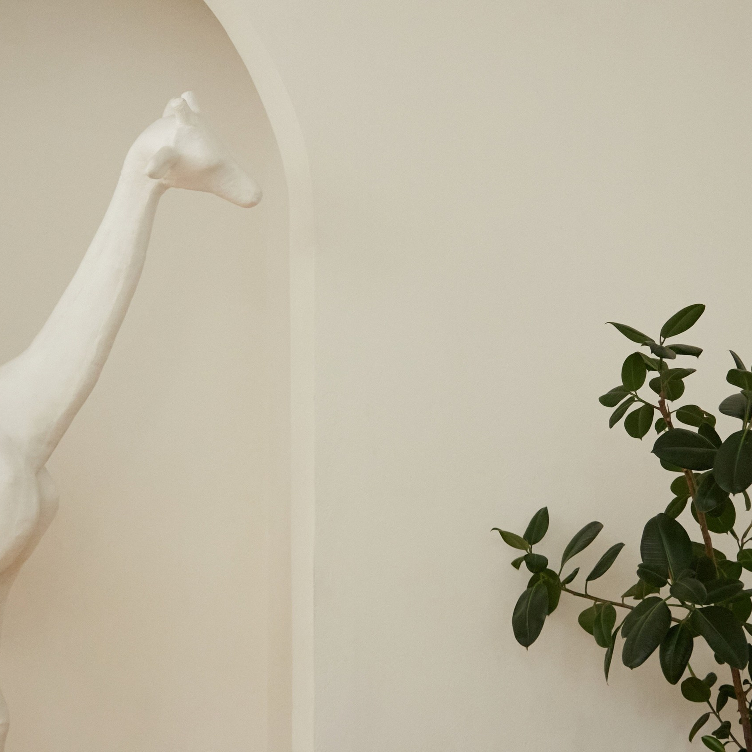 Все фотостудии Липецка. Свадебный и семейный фотограф Виолетта в Липецке