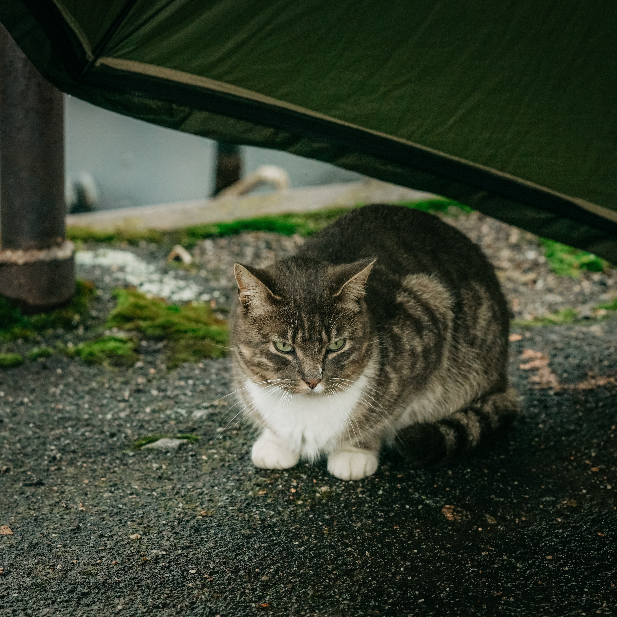 Отзывы от клиентов о работе фотографа. Свадебный фотограф Александр Невский в Санкт-Петербурге