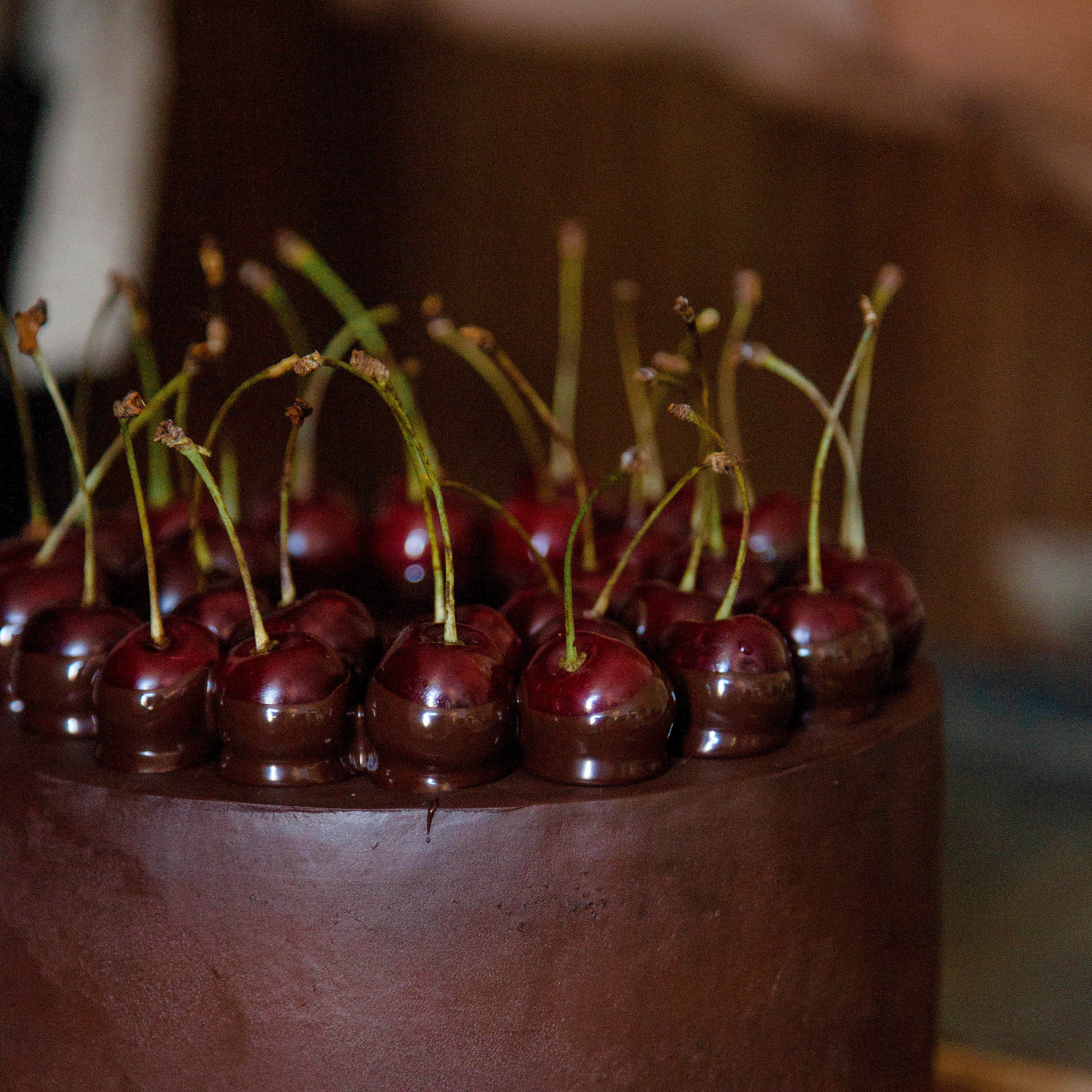 ~предметка~. Фотограф в Краснодаре Дина Павленко