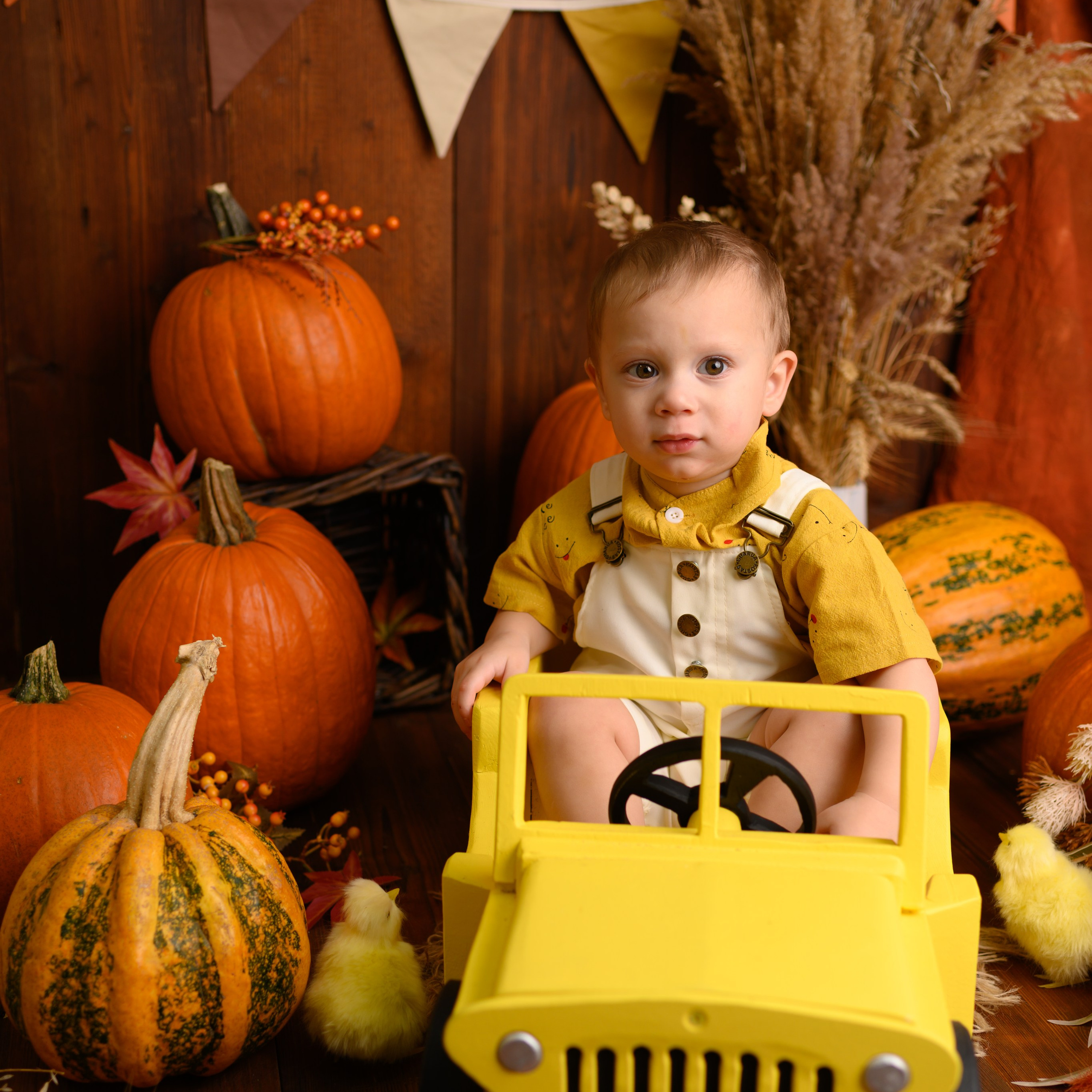 Отзывы. Семейный, детский фотограф в Москве Дегтярева Анастасия