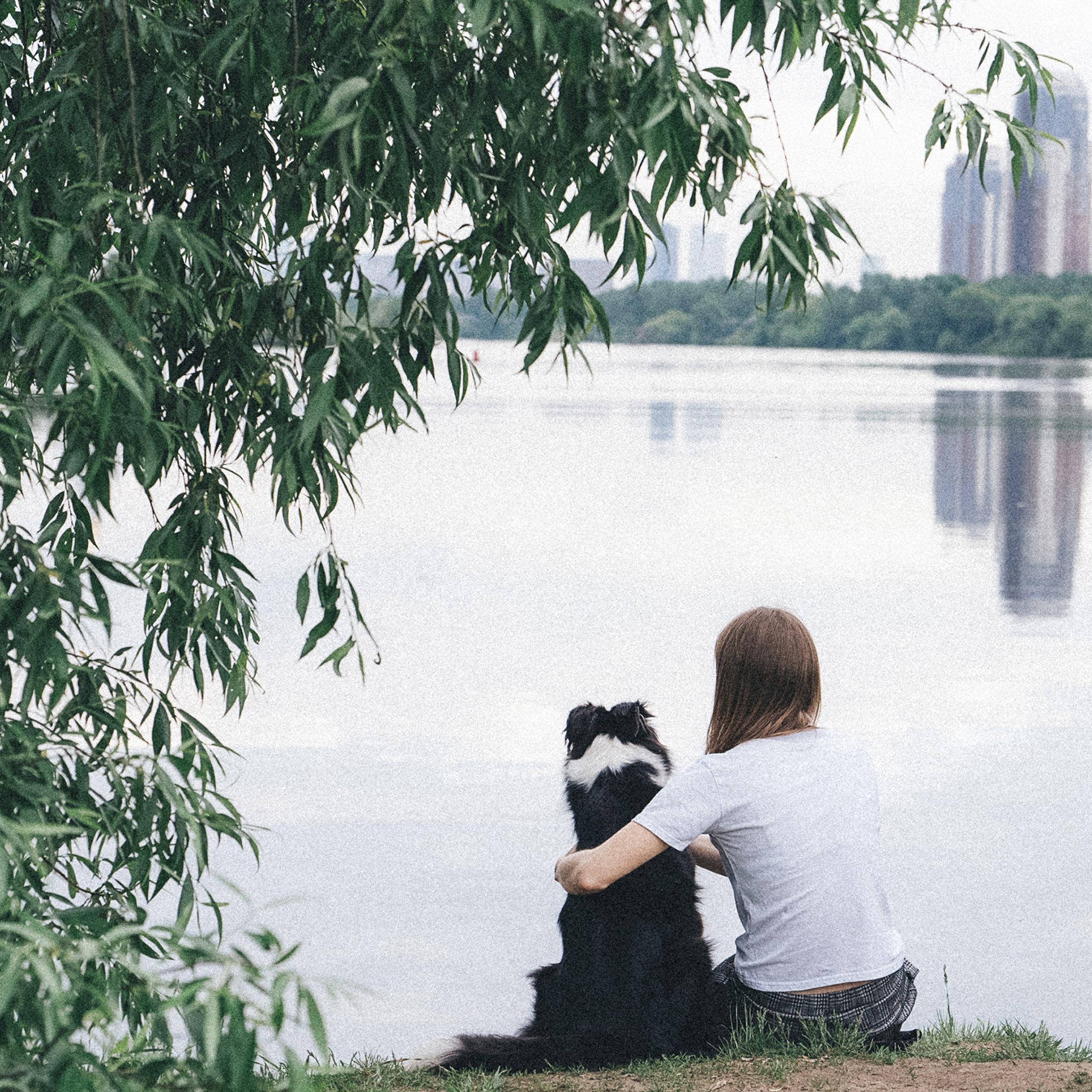 Вика и Веник