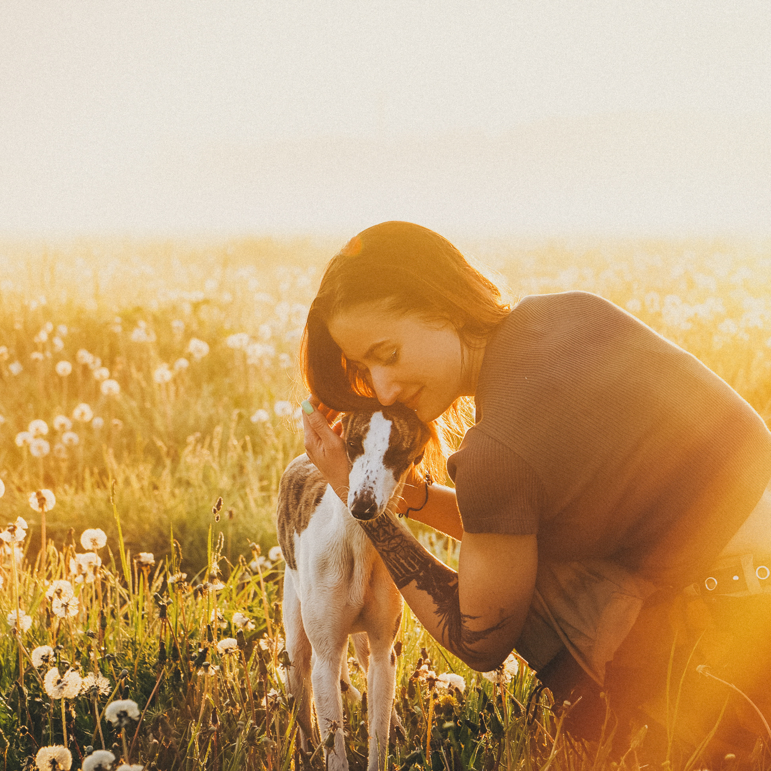 Софа, Уна и Лють