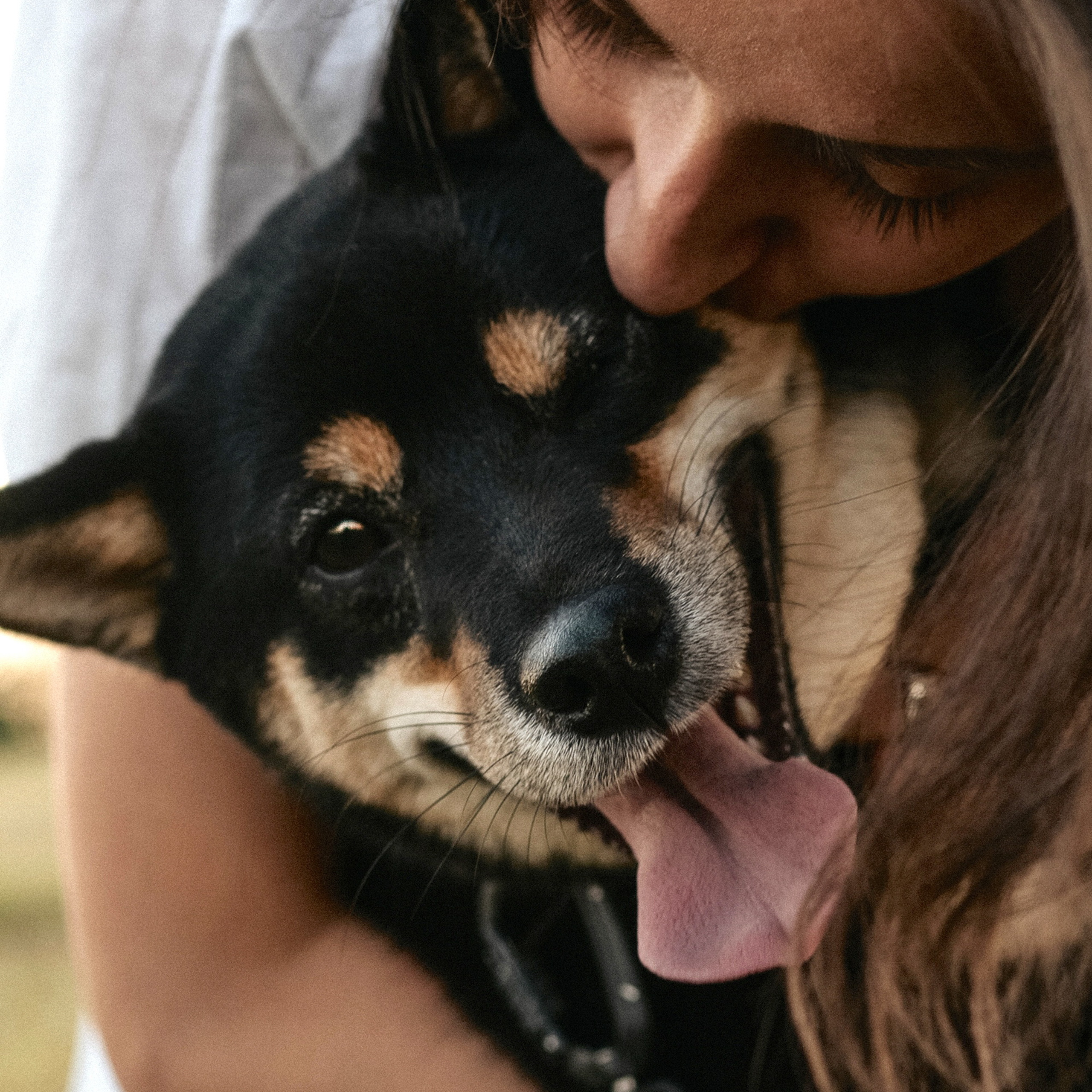 Катя, Вася, Роки и Бэлла