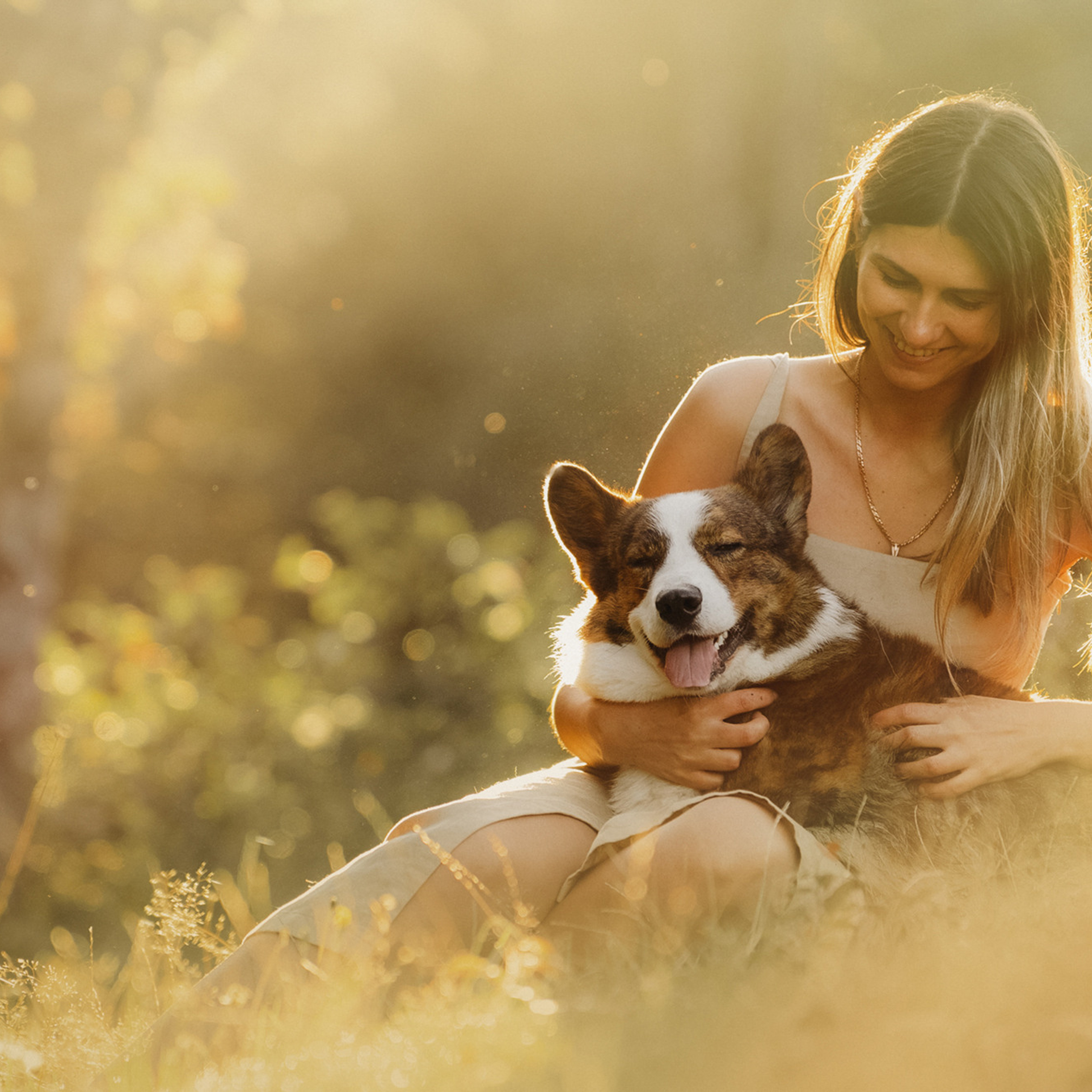 Влада и Коржики