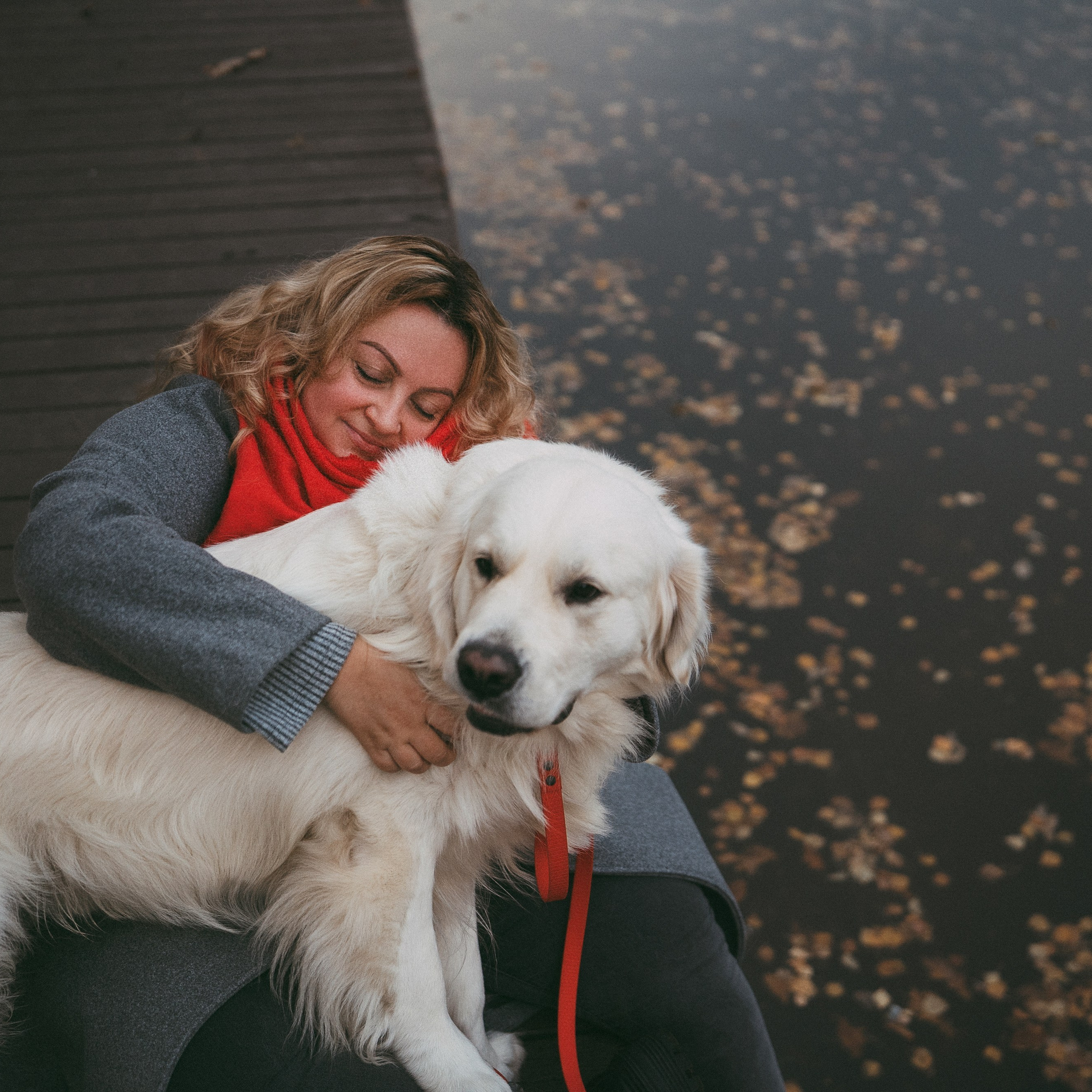 Отзывы. Фотограф анималист в Москве и Санкт-Петербурге Свиридова Анна