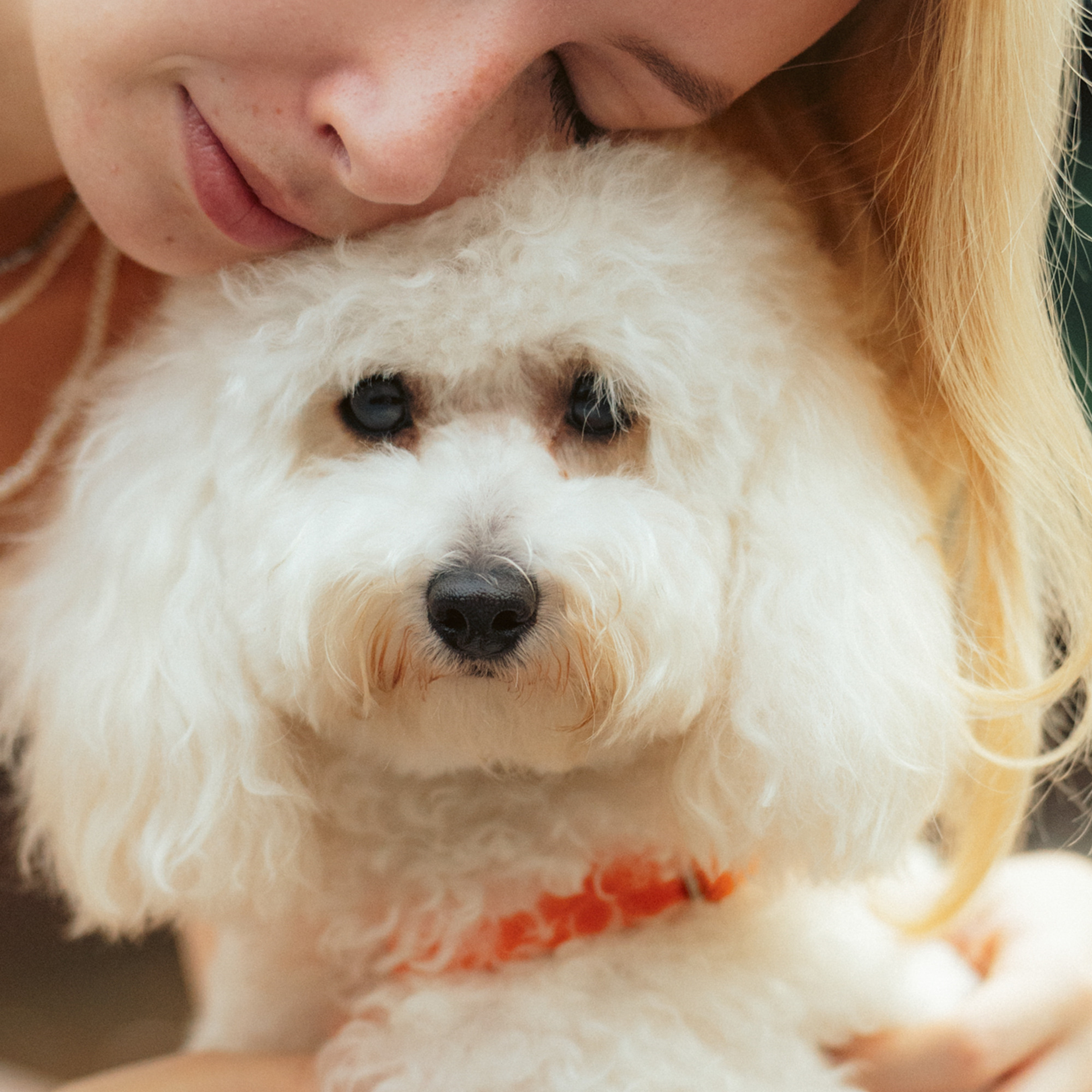 Ангелина и Варежка