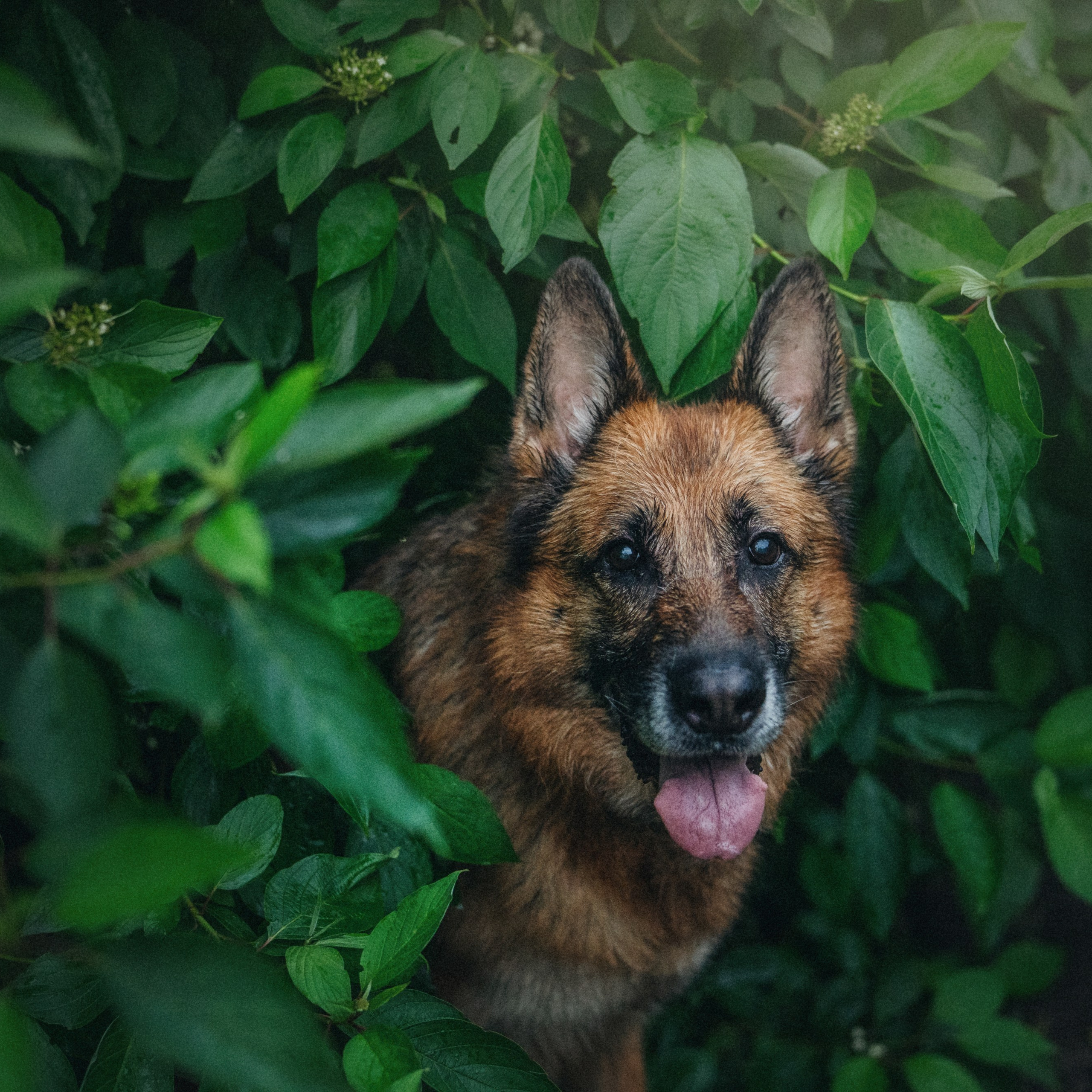 Вика и Фрея