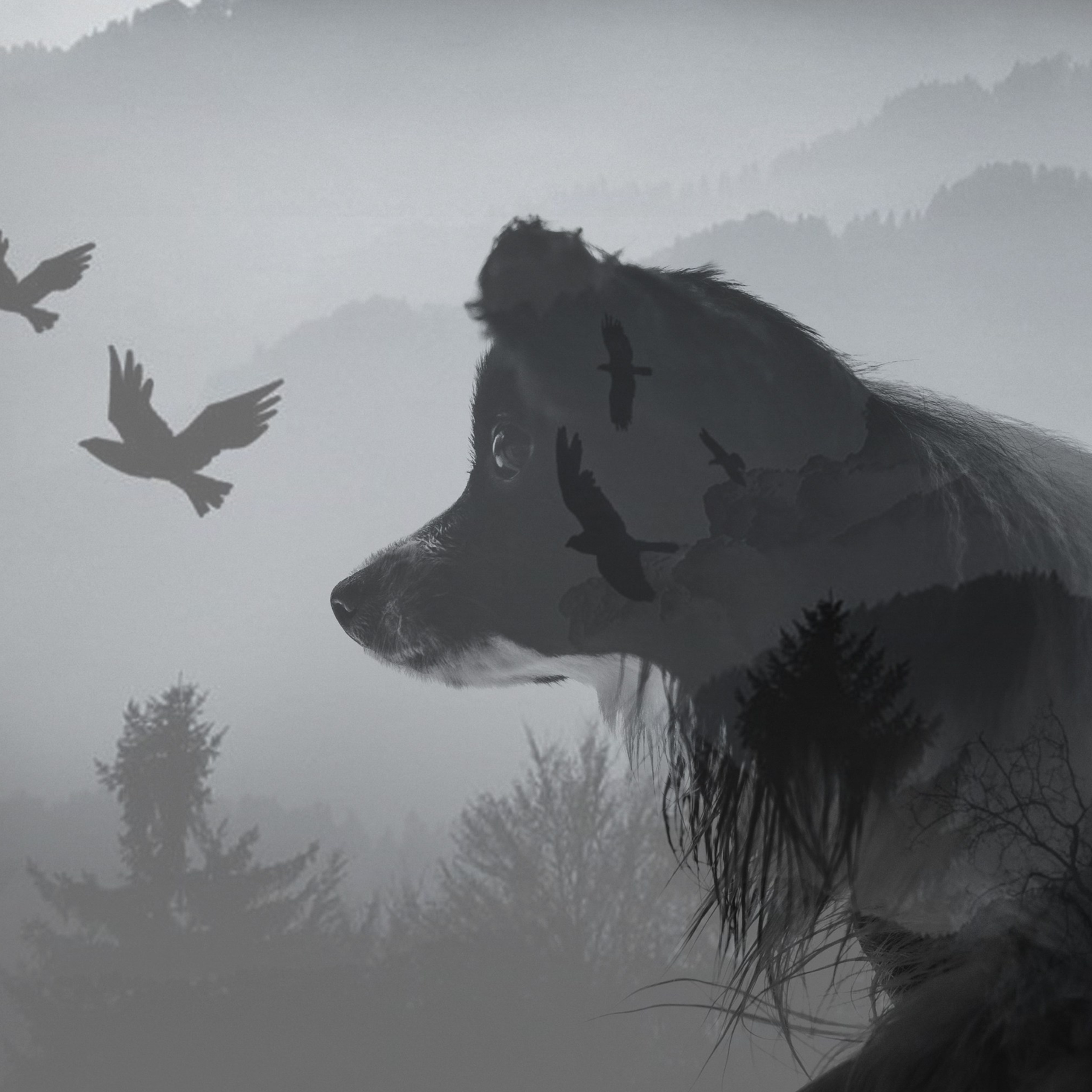 Альбина и Амелия