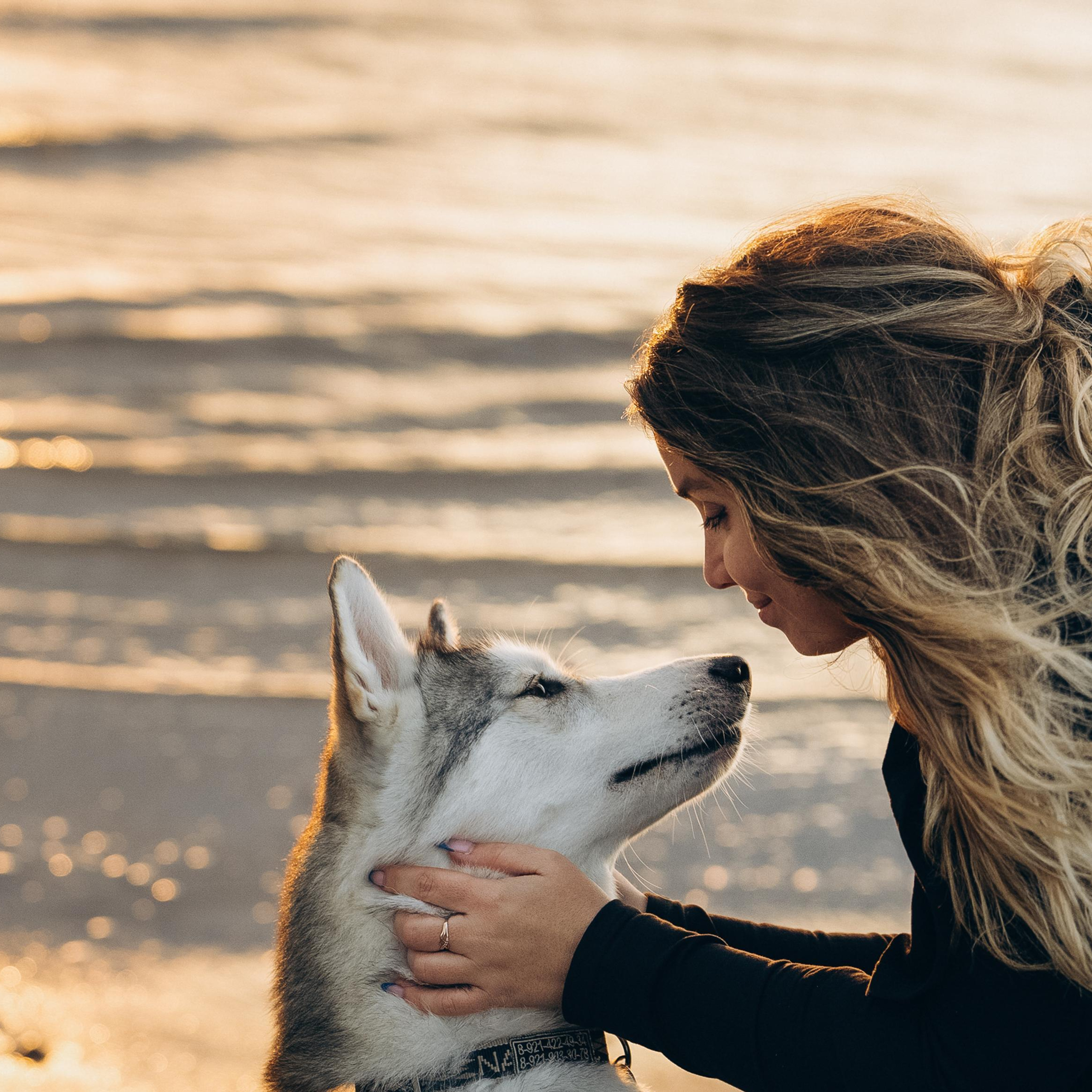 Отзывы. Фотограф анималист в Москве и Санкт-Петербурге Свиридова Анна