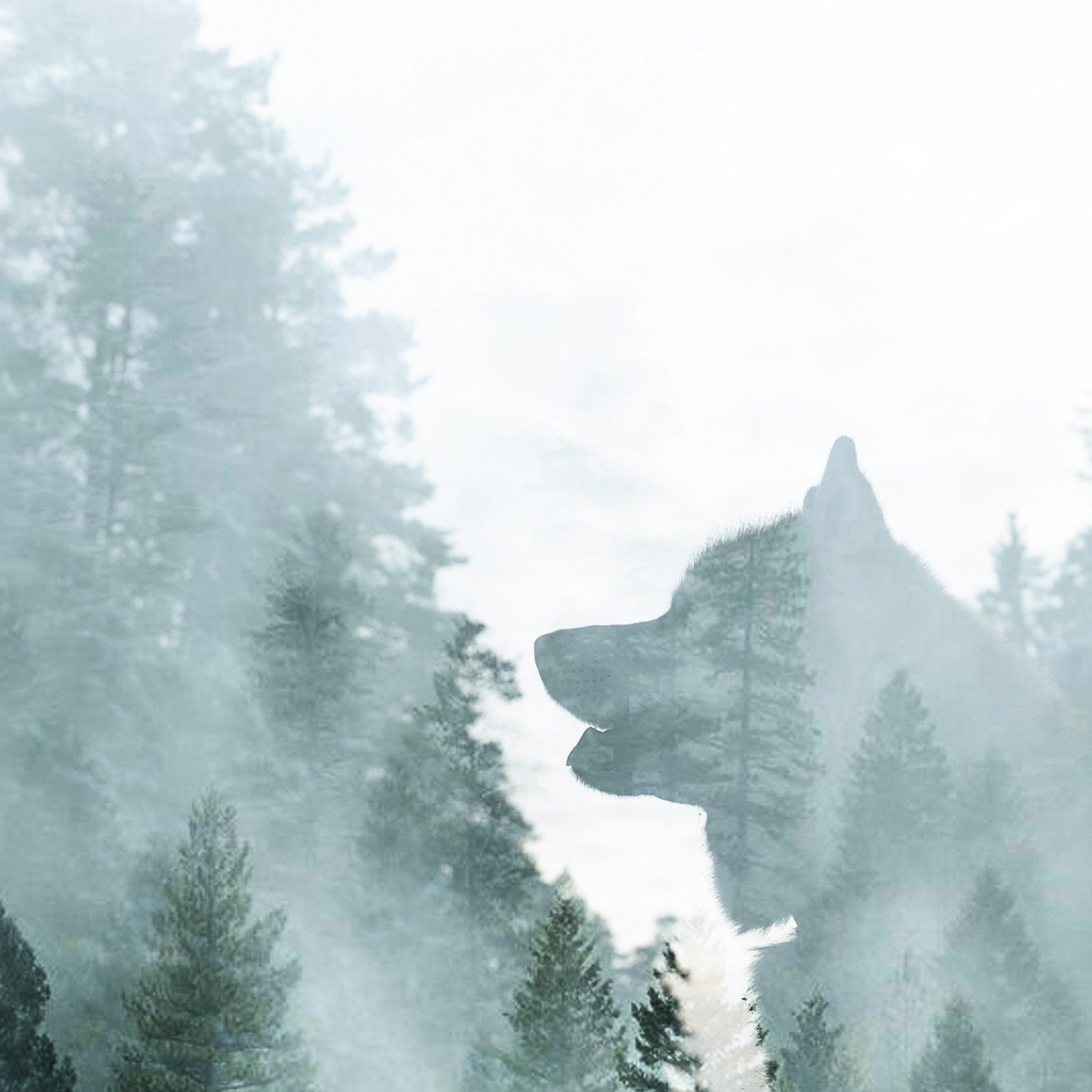 Полина, Уго и Пышка