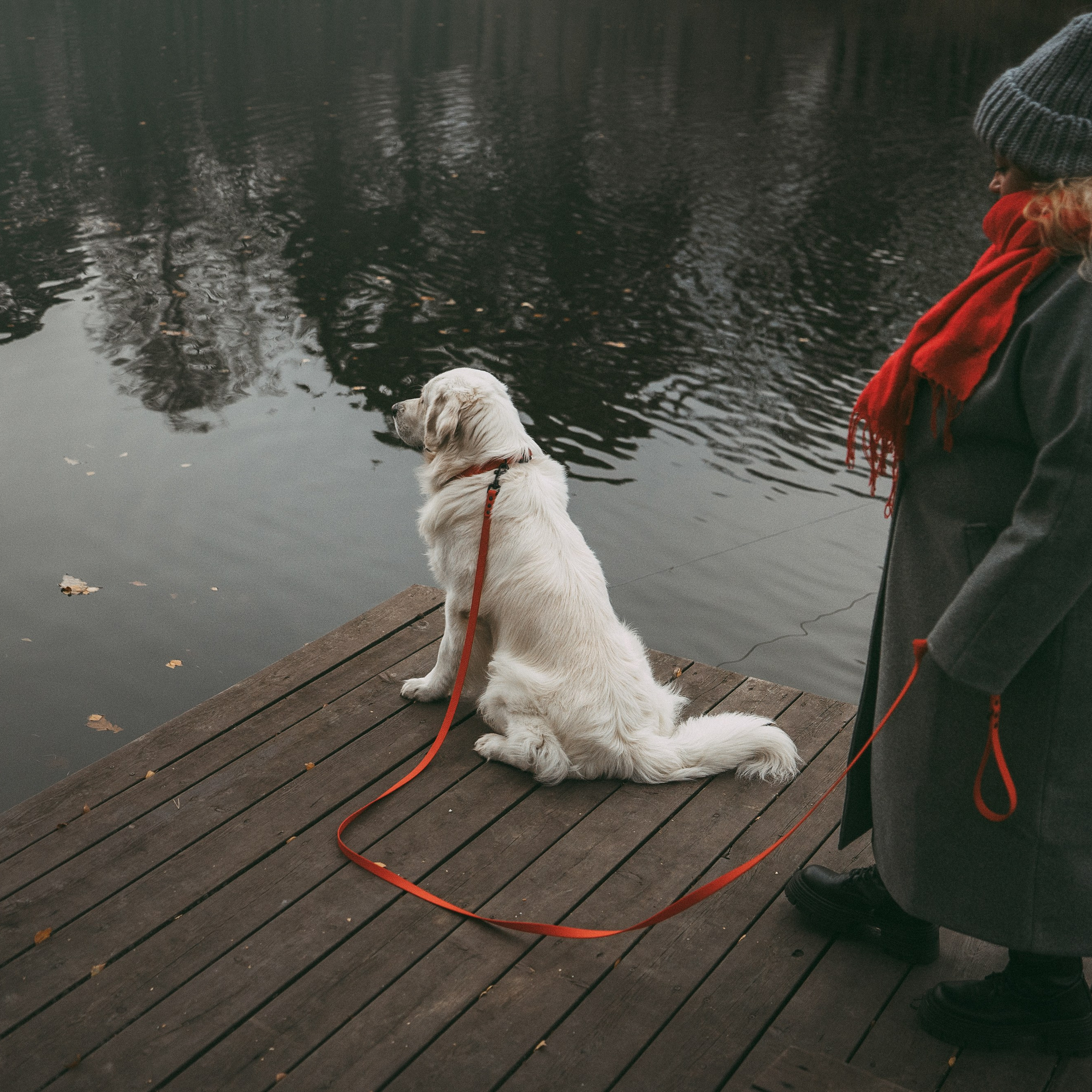 Лена и Мерлин