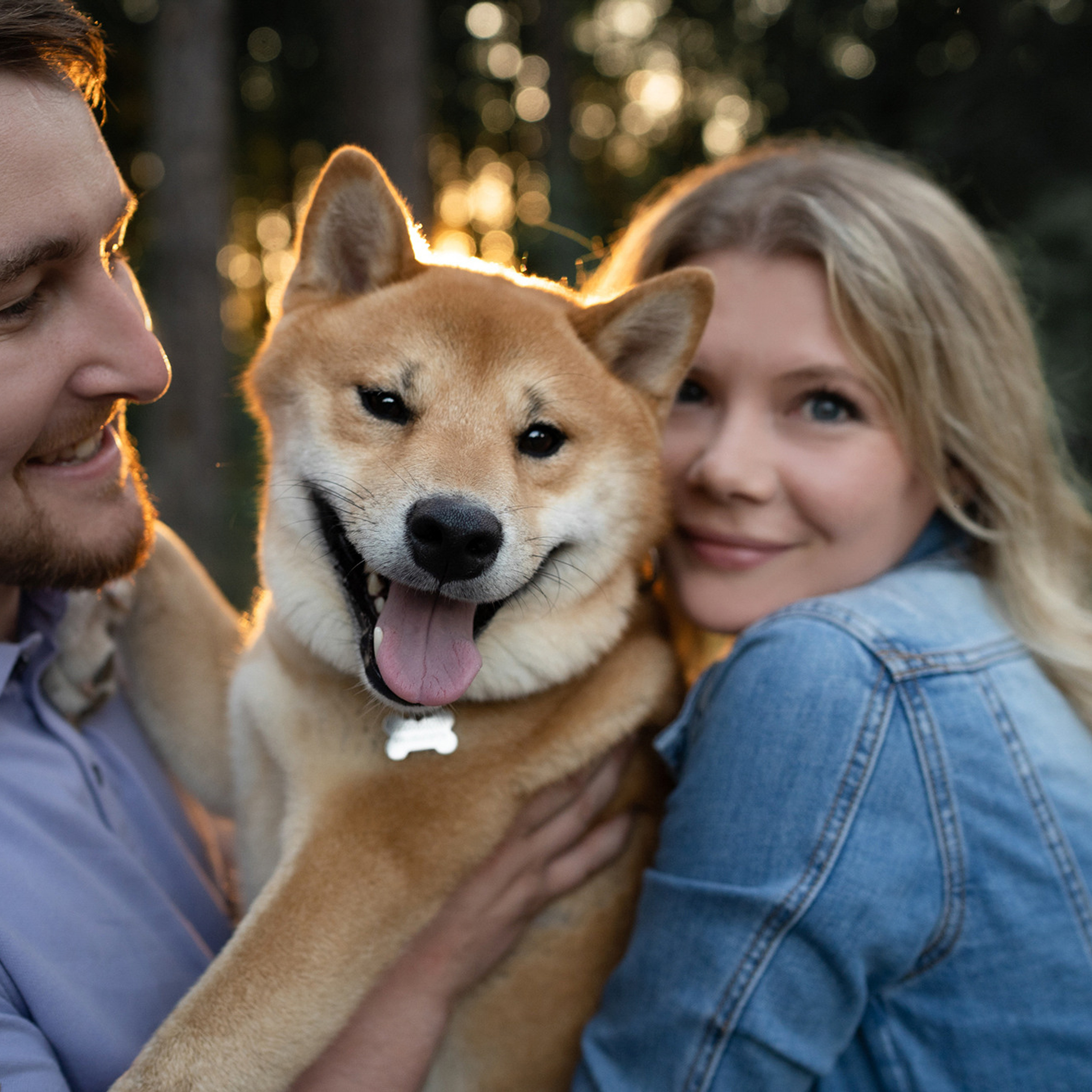 Даша, Сергей и Френки