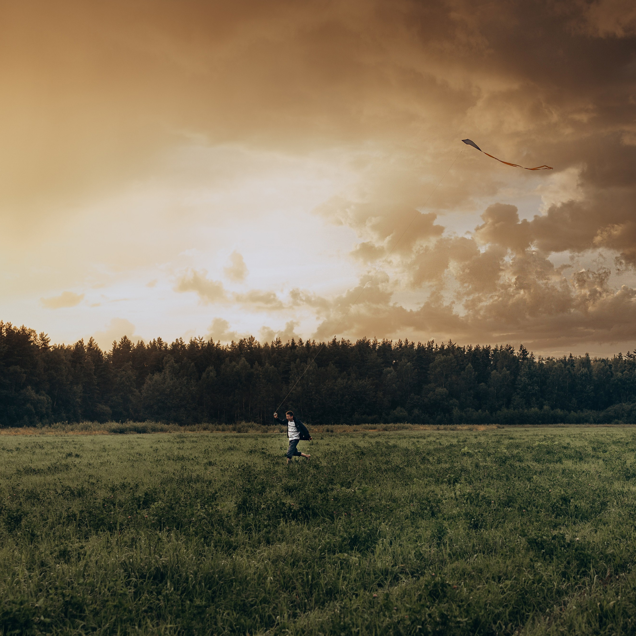 Природа/Улица