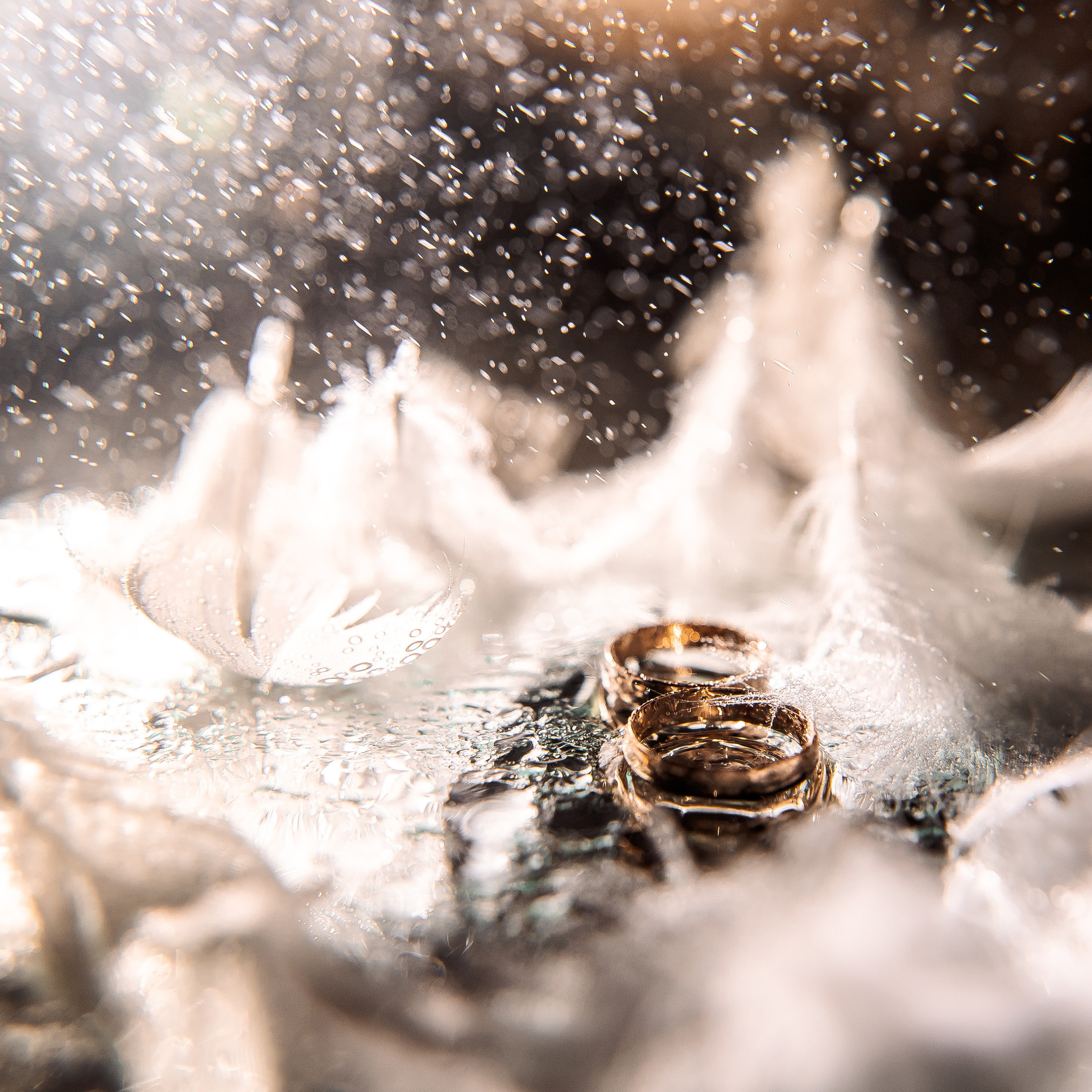 Отзывы. Свадебный и семейный фотограф в Челябинске Юлия Ишимова