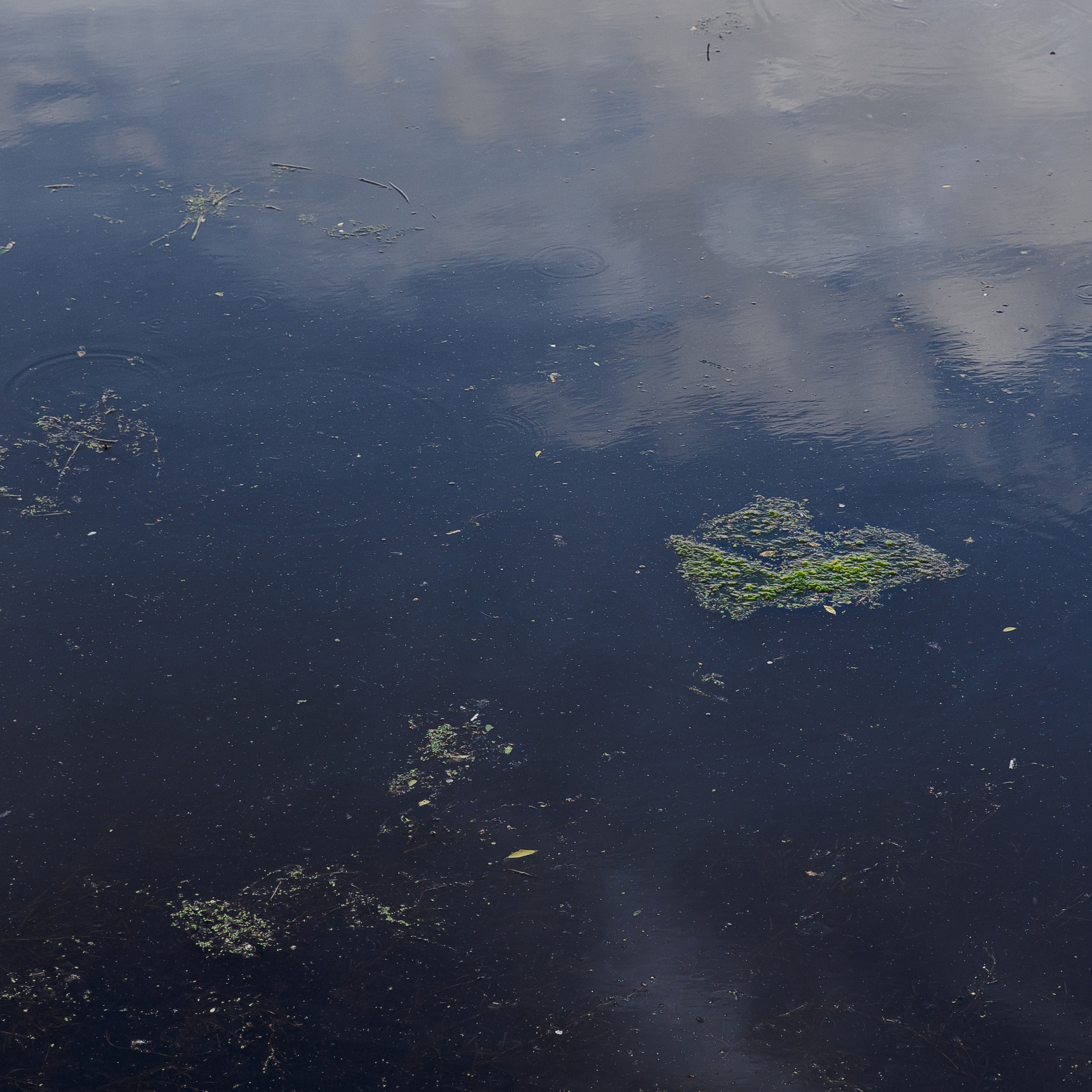 Отзывы. Свадебный и семейный фотограф в Челябинске Юлия Ишимова