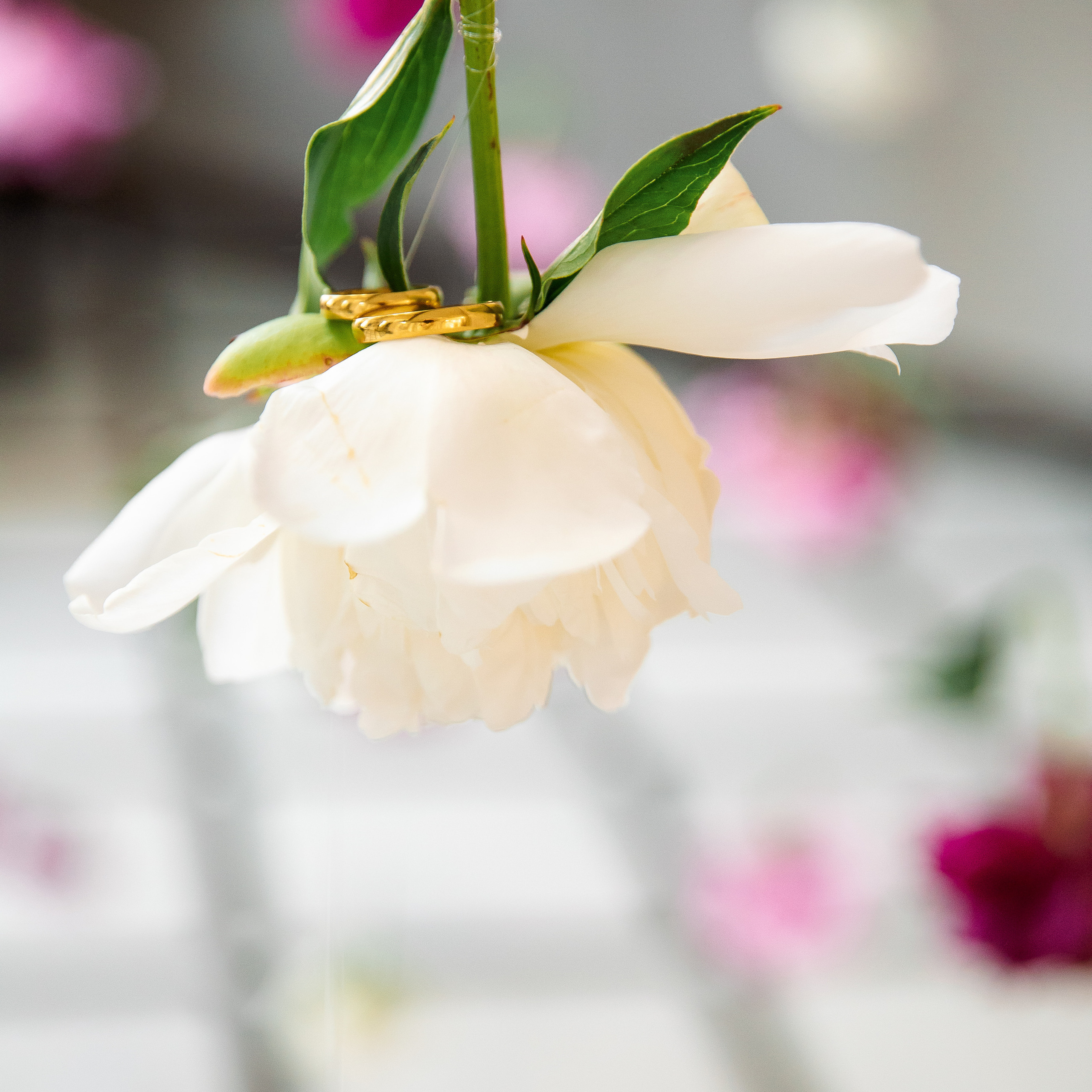 Отзывы. Свадебный и семейный фотограф в Челябинске Юлия Ишимова