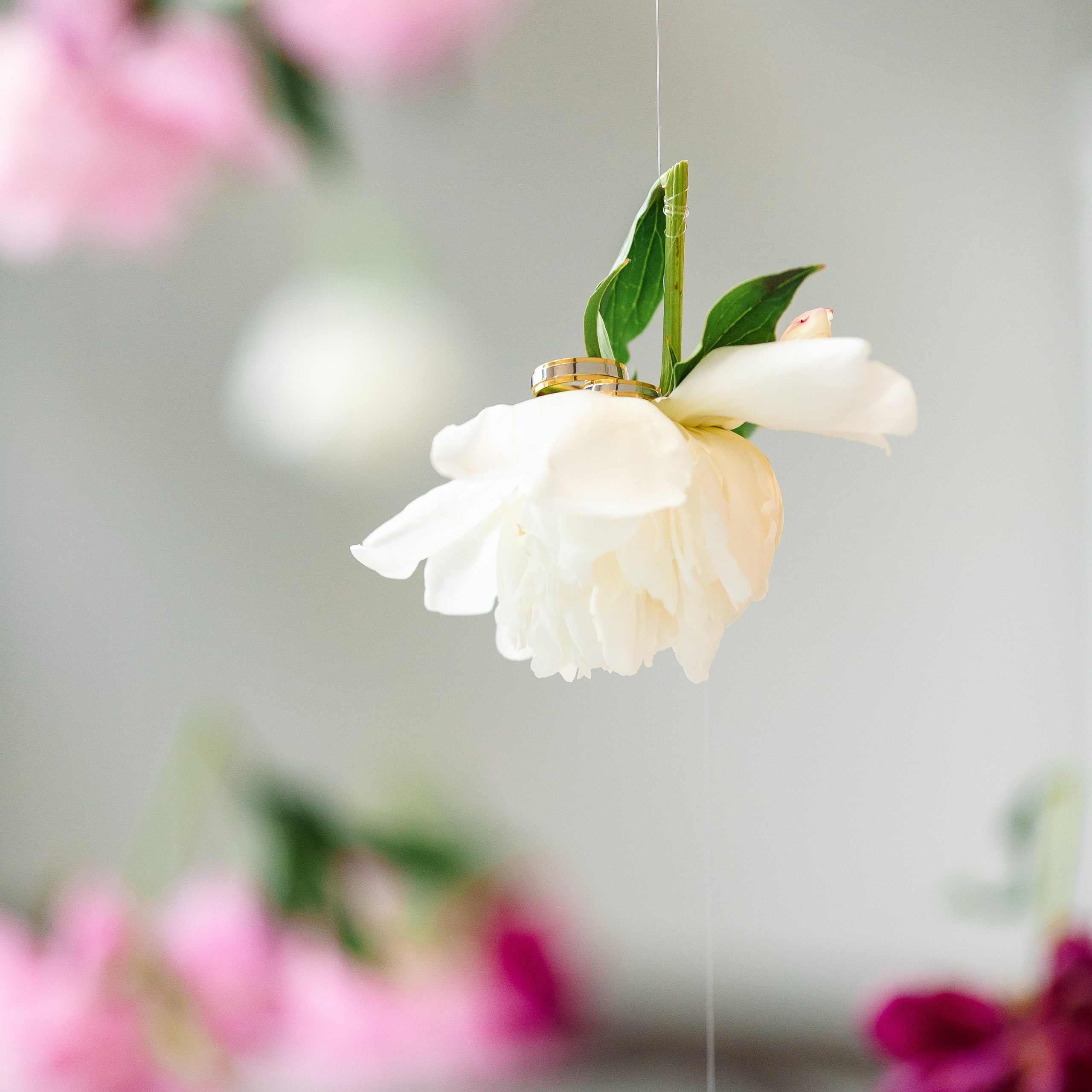 Мария и Никита