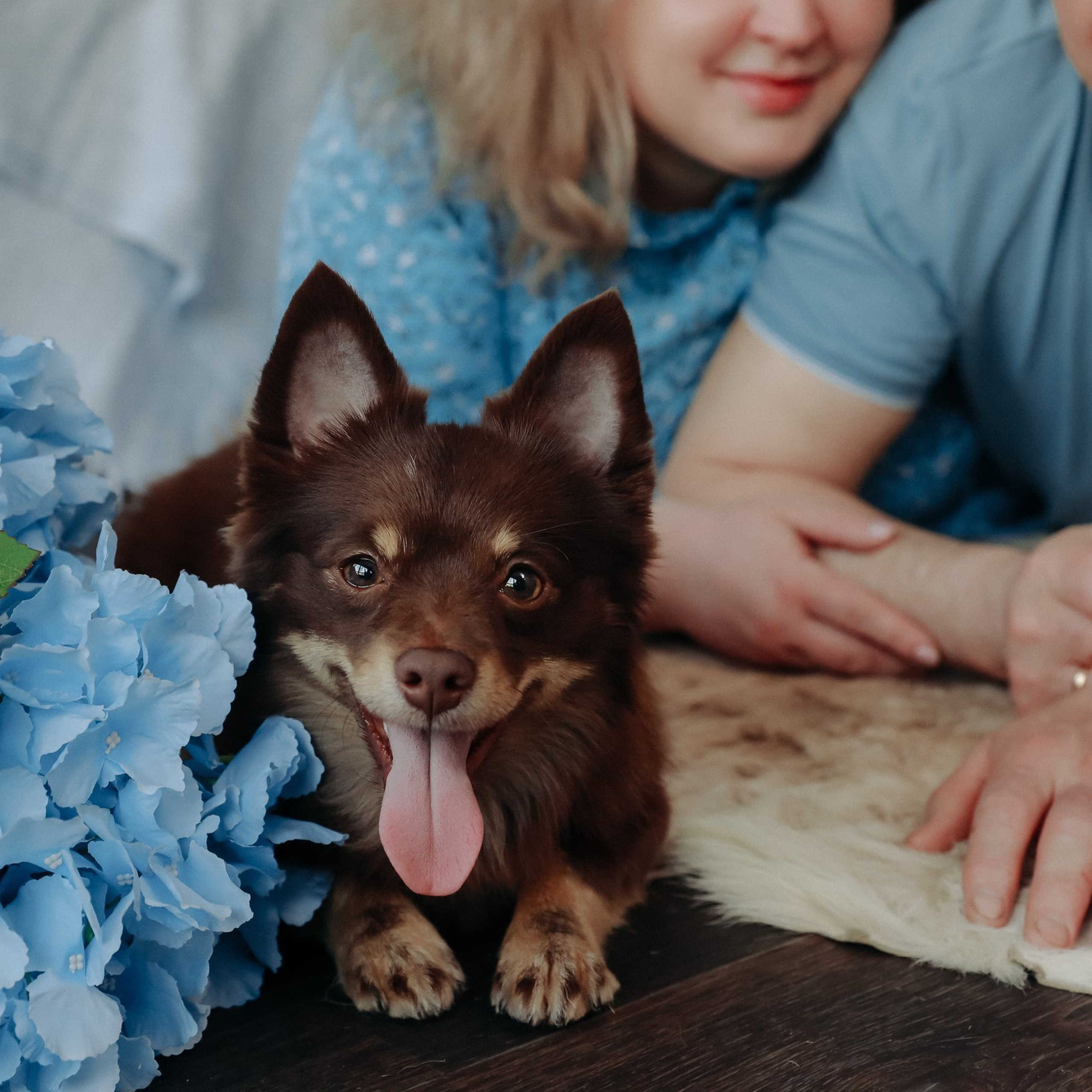 Отзывы. Семейный, портретный и свадебный фотограф в Липецке Эльвира Алигри