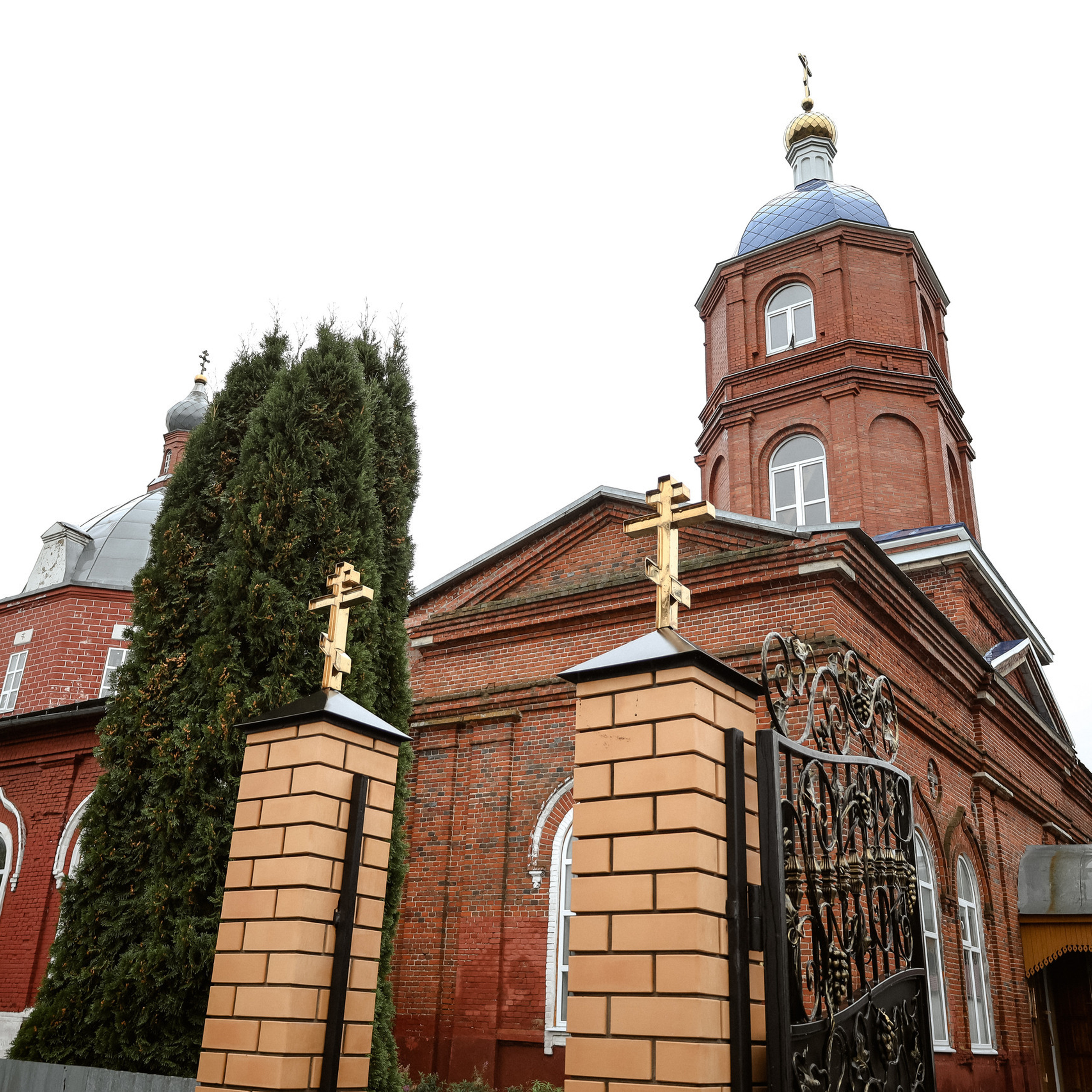 Отзывы. Семейный, портретный и свадебный фотограф в Липецке Эльвира Алигри