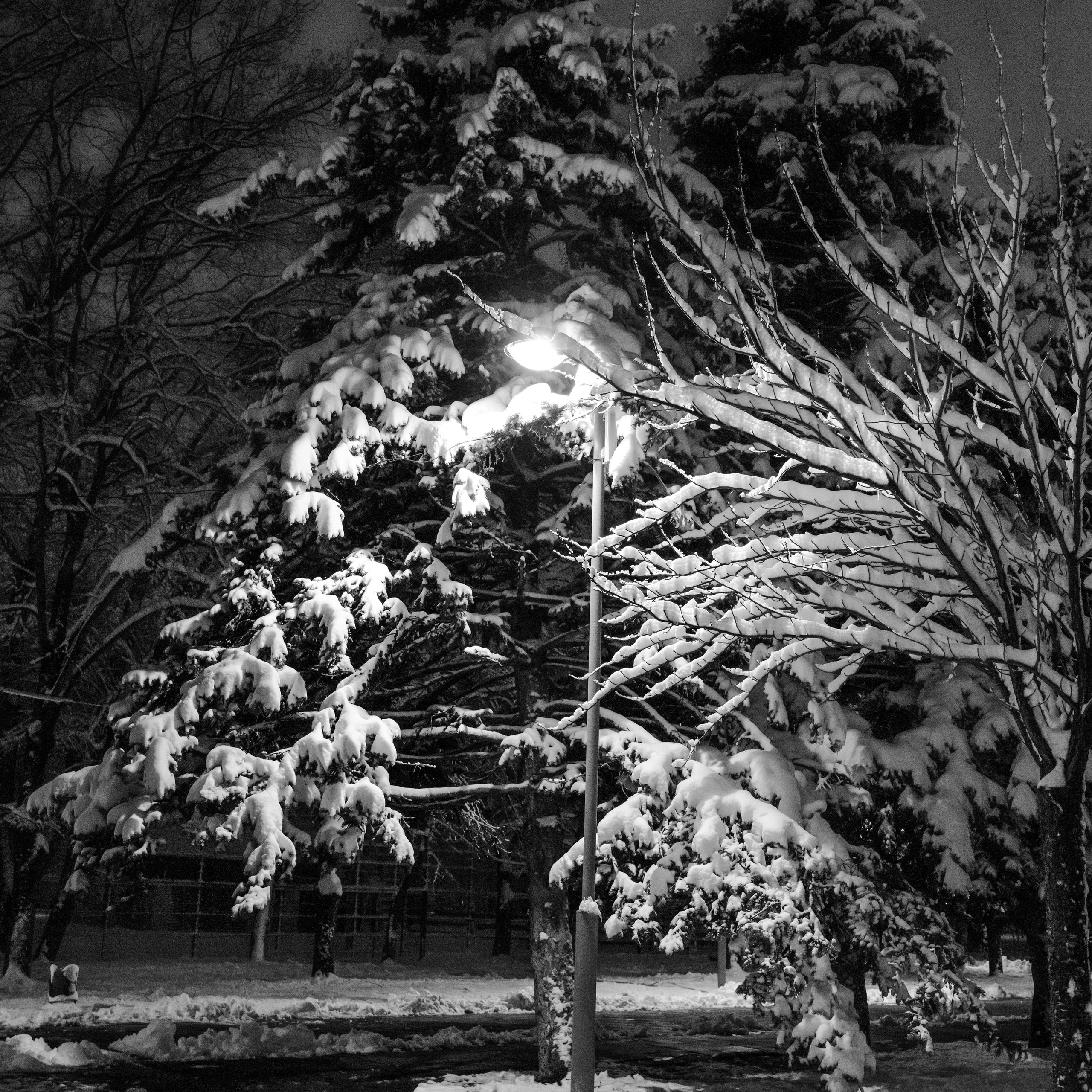 Краснодарский стрит