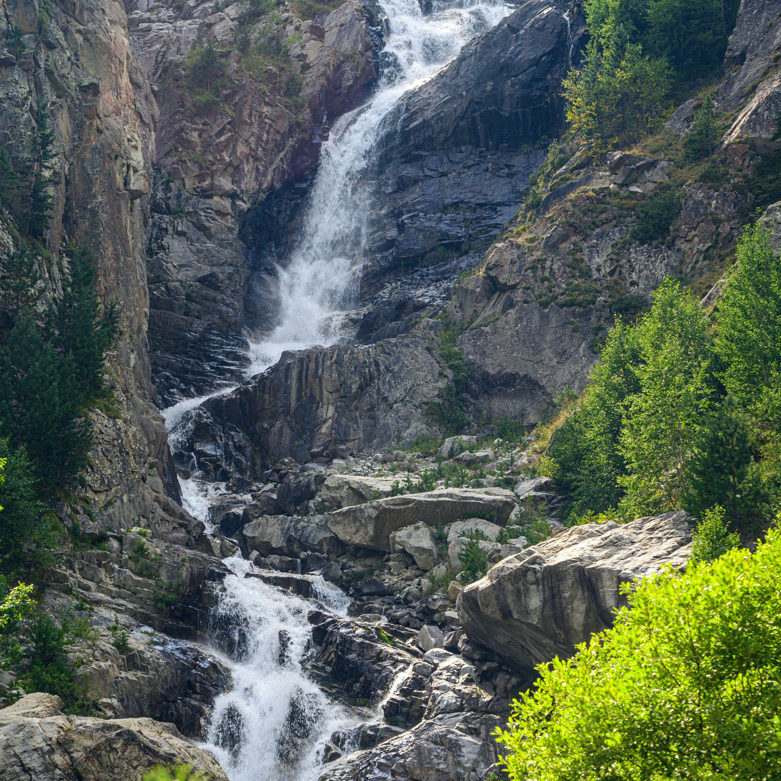 Экспедиция 2025