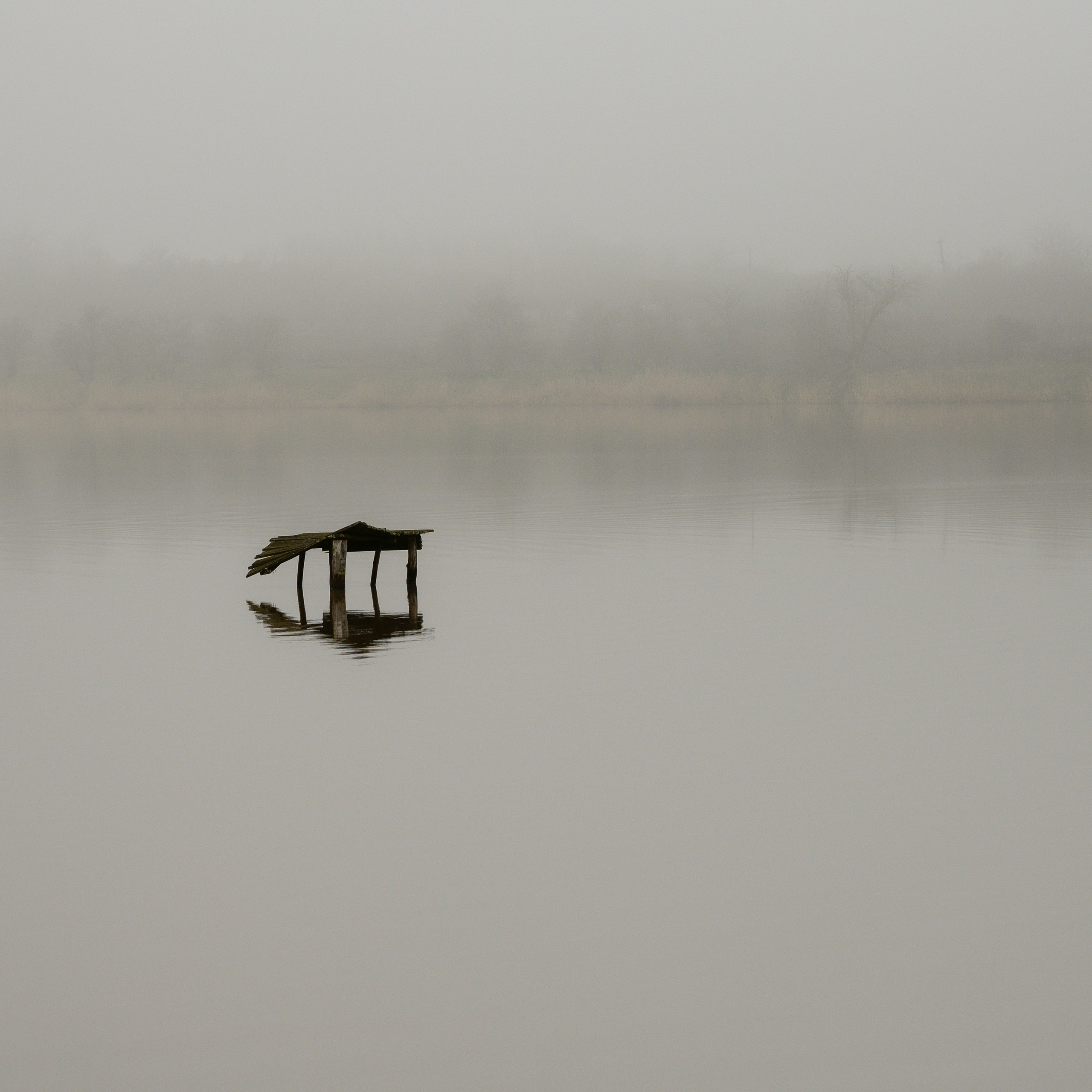 Блог Константина Борунова