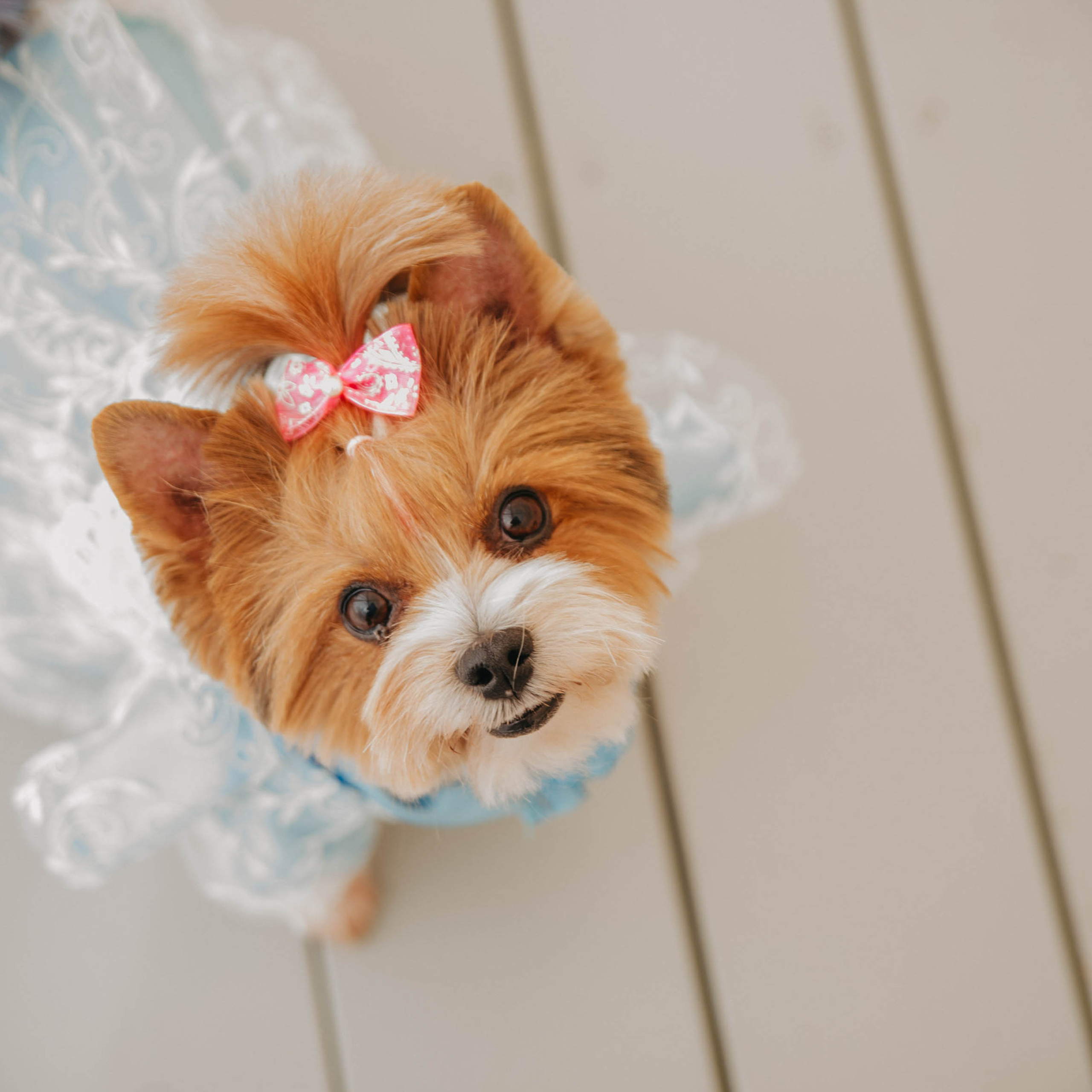 Отзывы. Контент фотограф Илья Урс