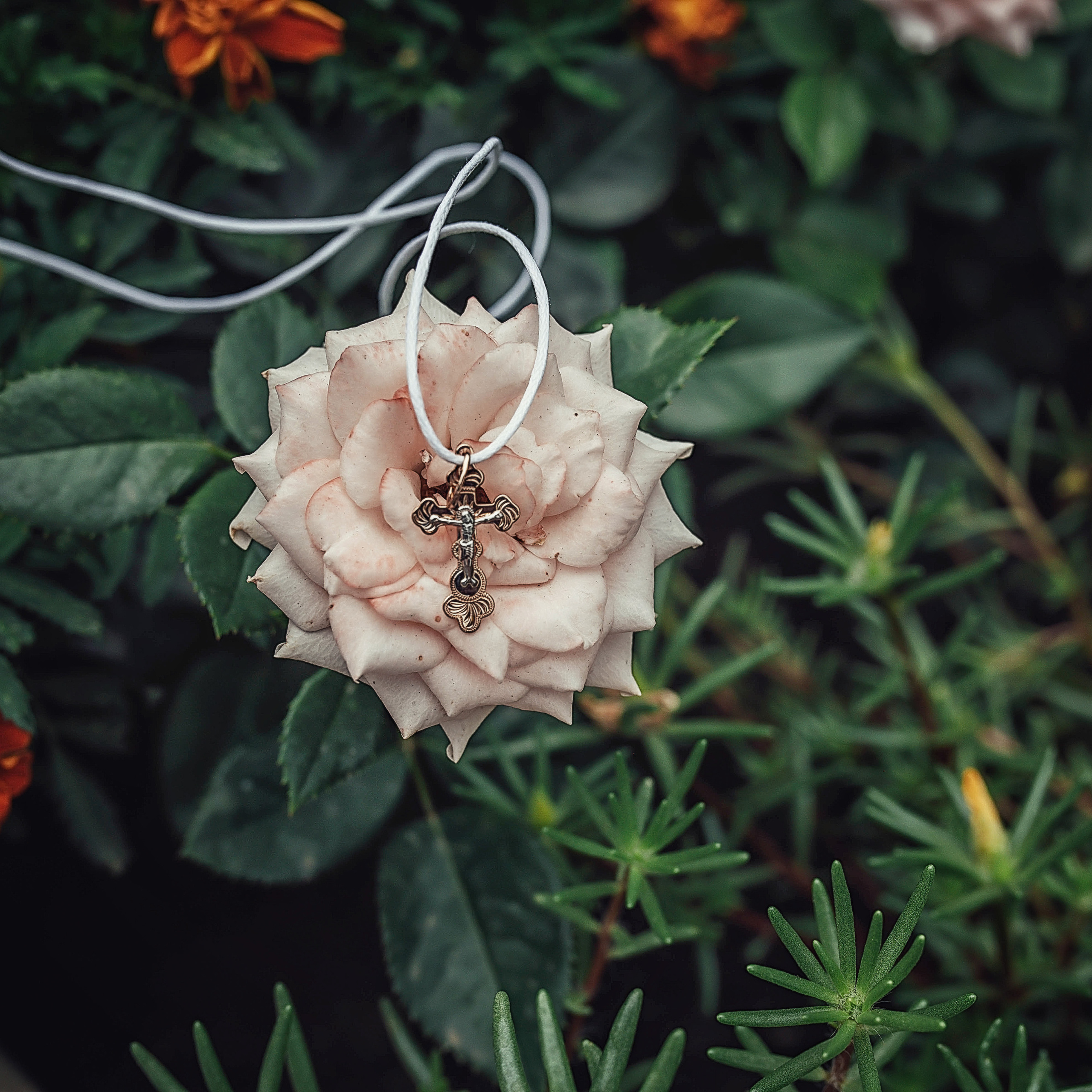 Отзывы. Церковный, семейный и репортажный фотограф Волгоград, Волжский