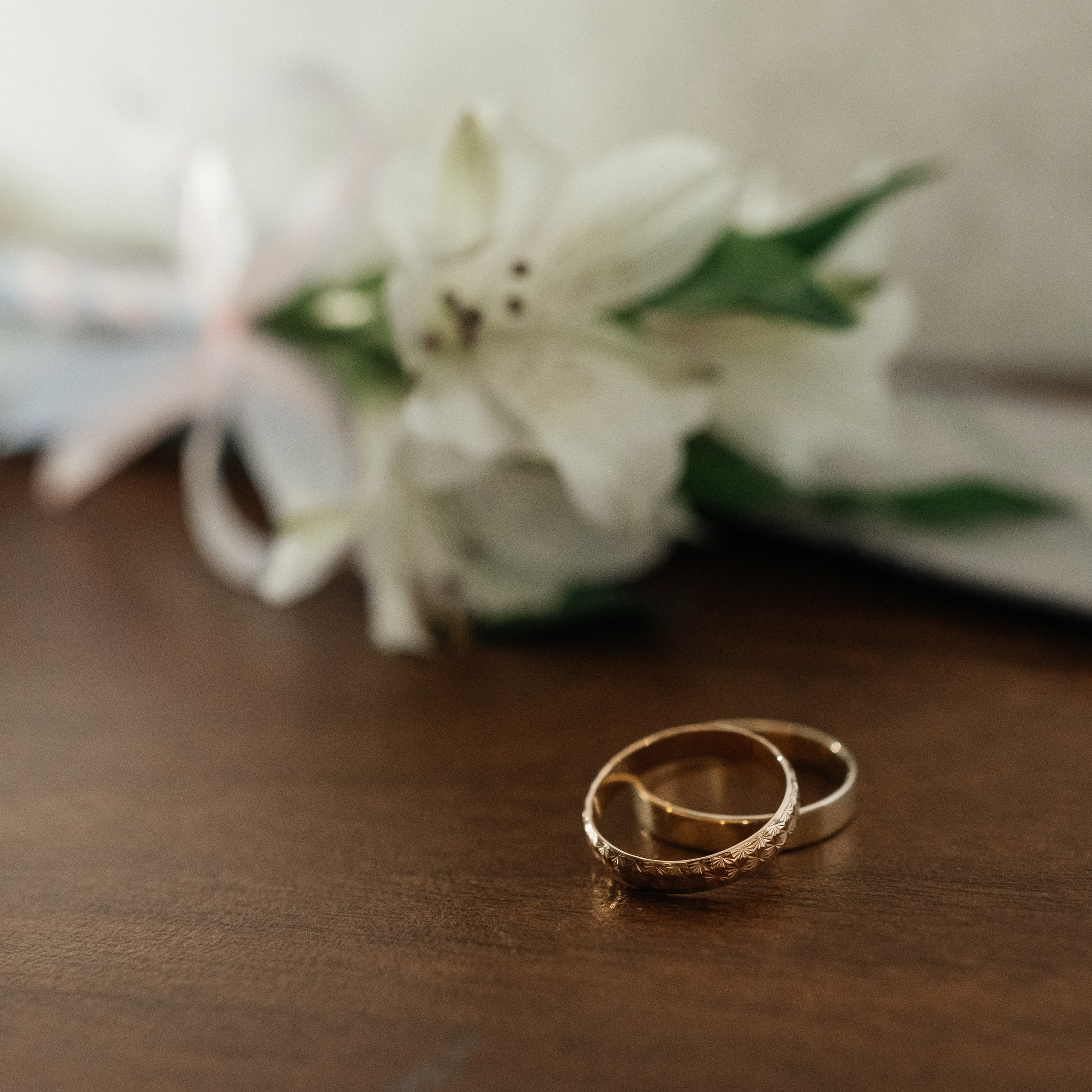 Отзывы. Belichev45foto.ru