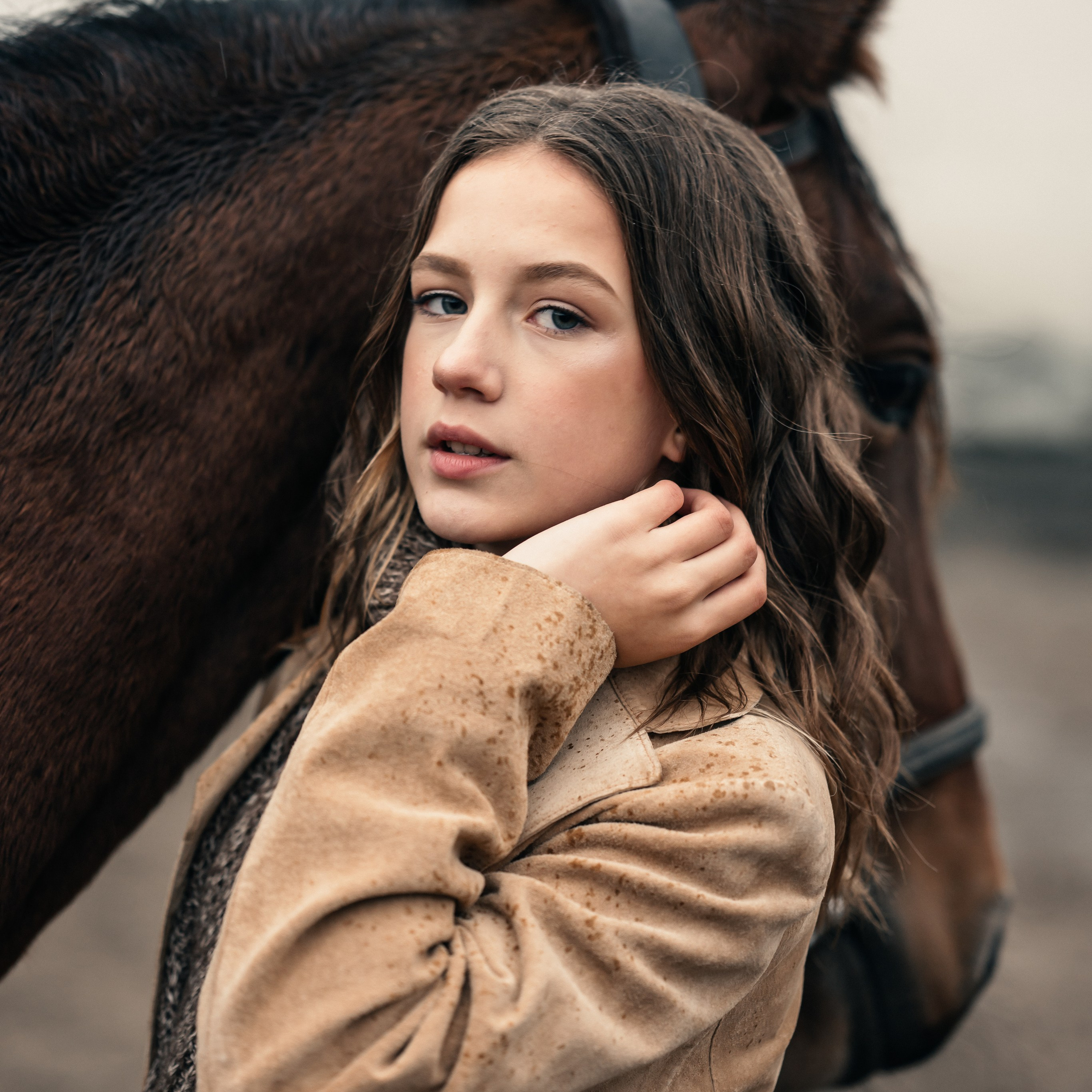 на конюшне