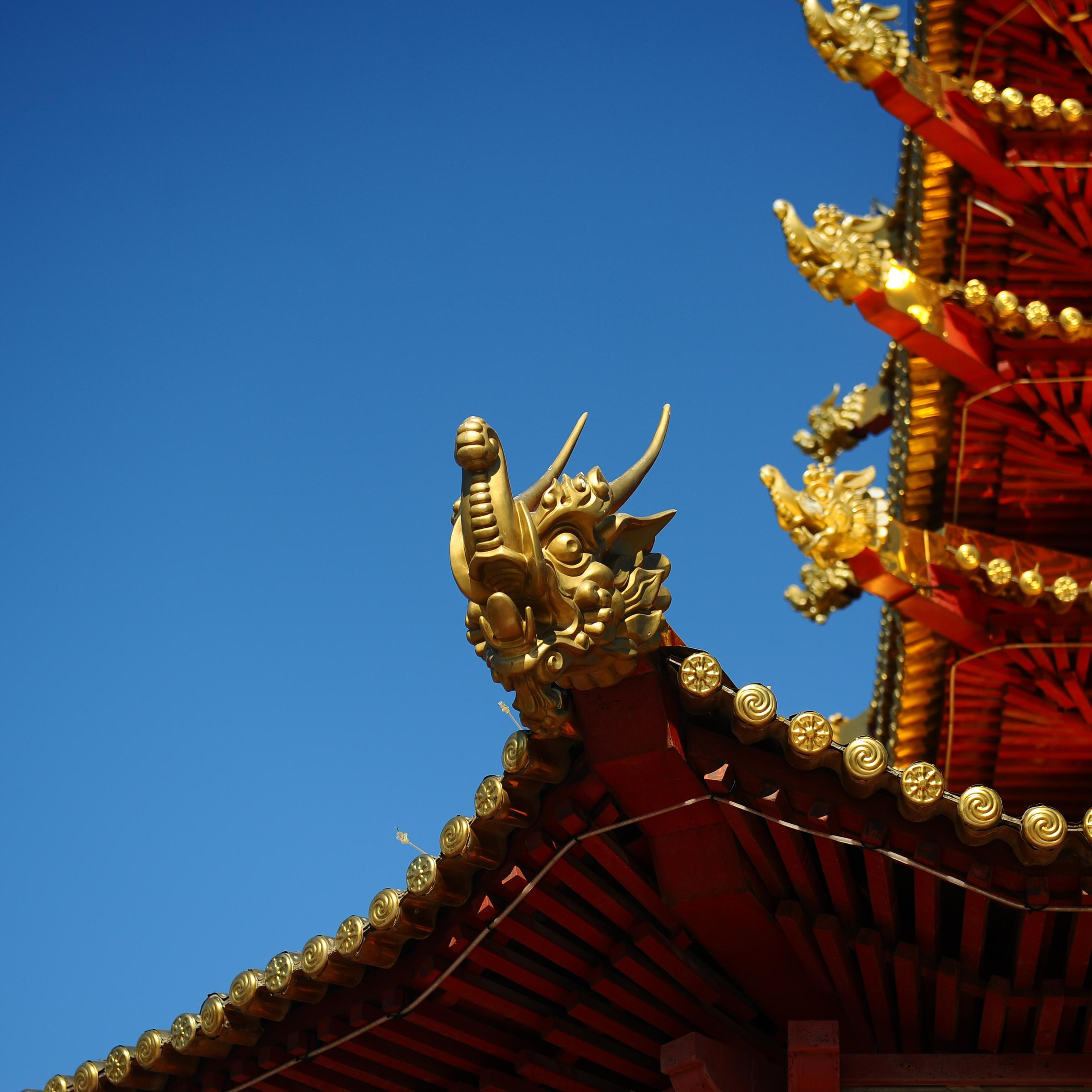 Почему монахи в Калмыкии выливают молоко на костер?. Главная (Home)