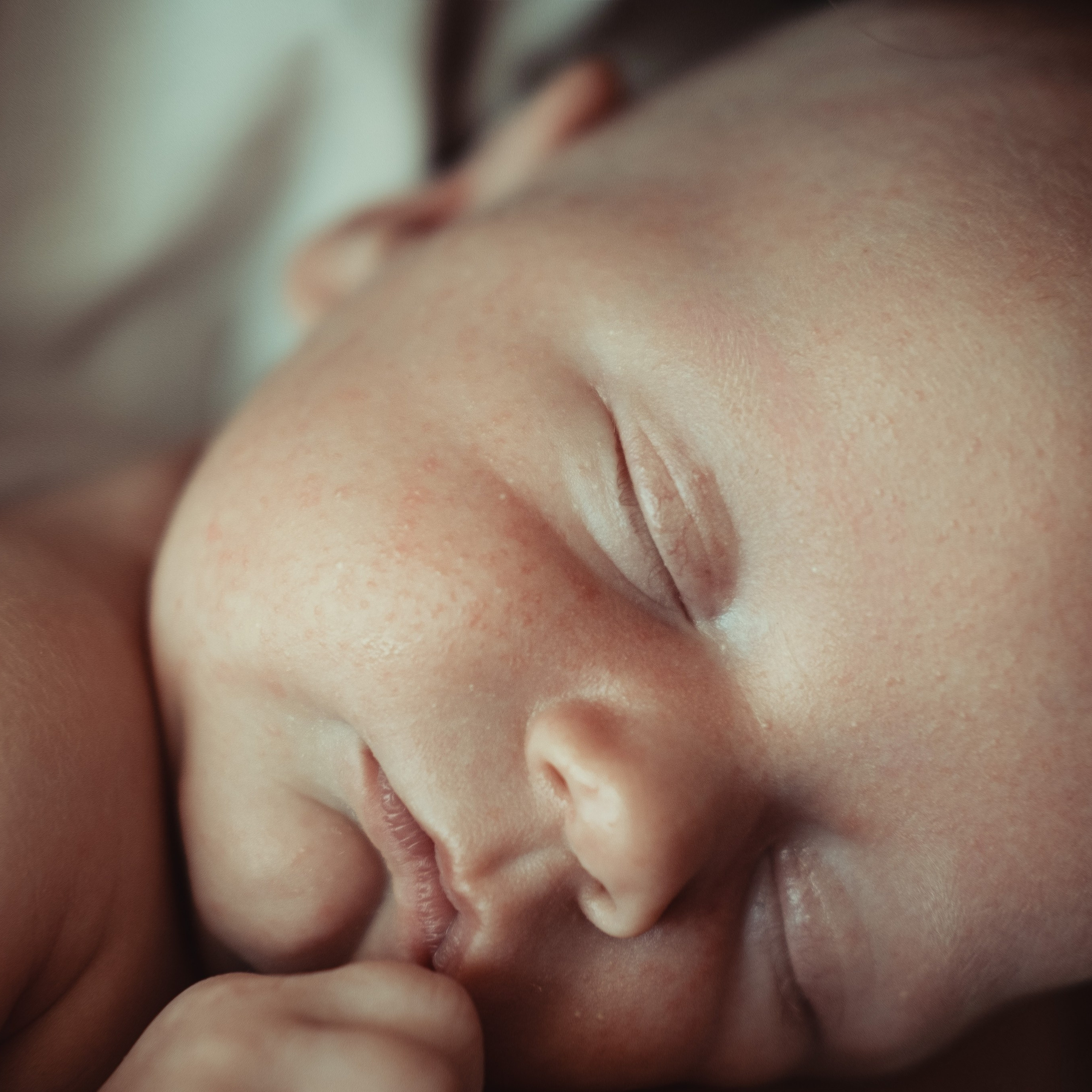 Семейные истории