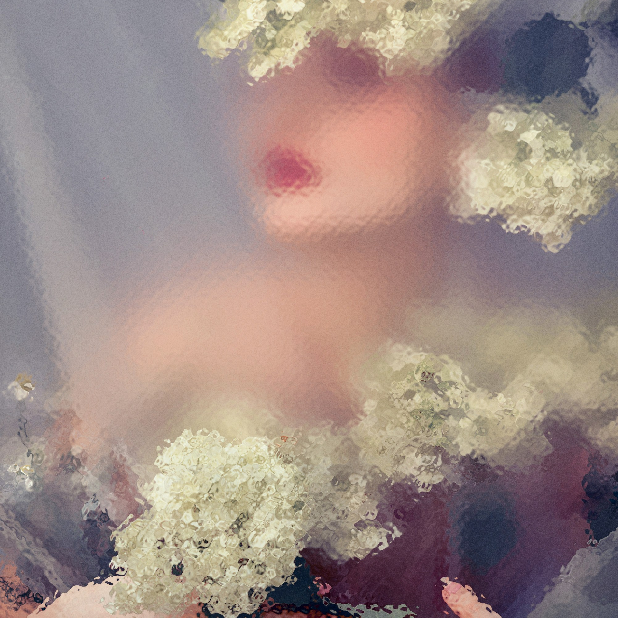 Съемка с цветами.