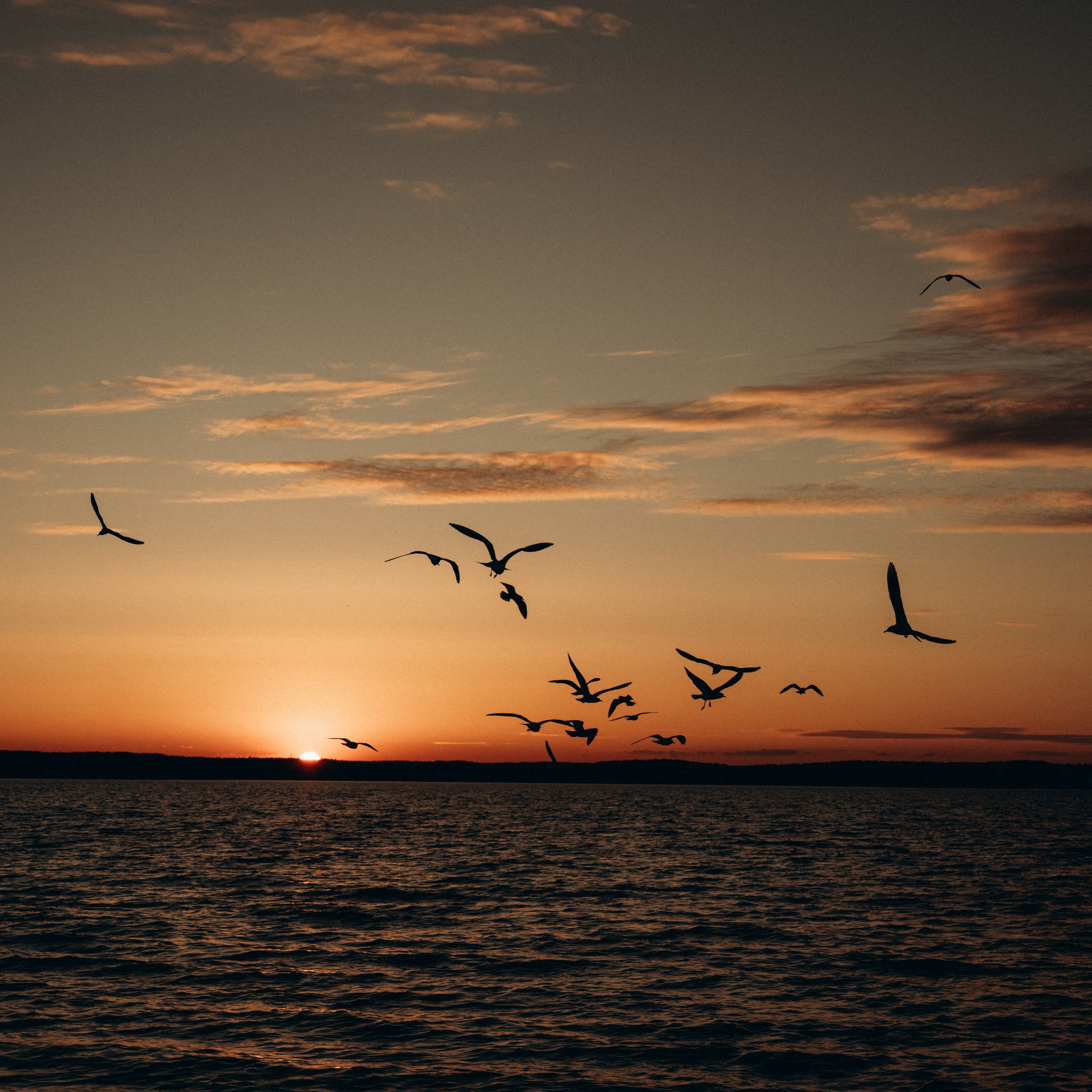 Катя, Рома, Ева и Лика