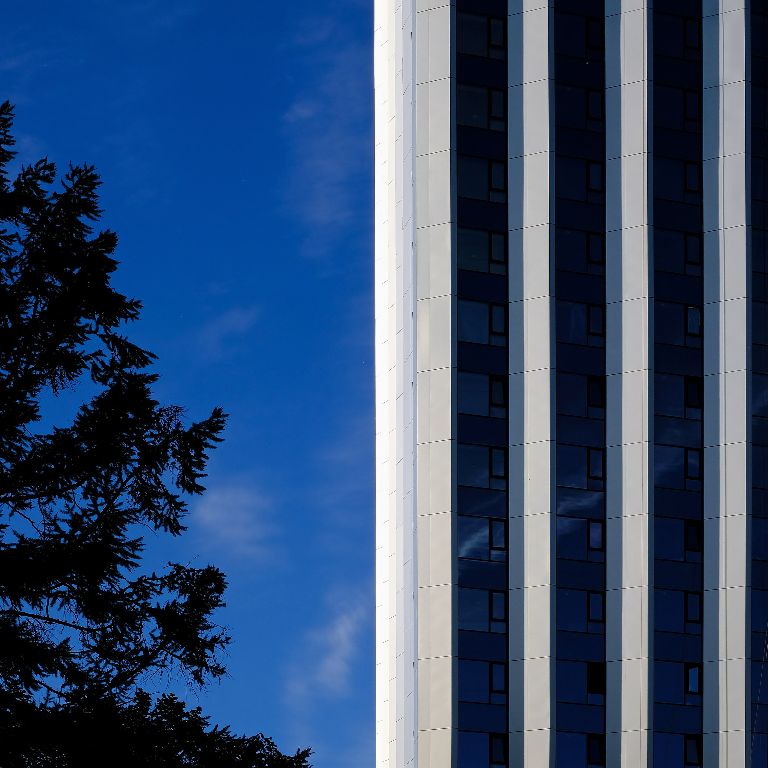 Residential Complex Moments Msk