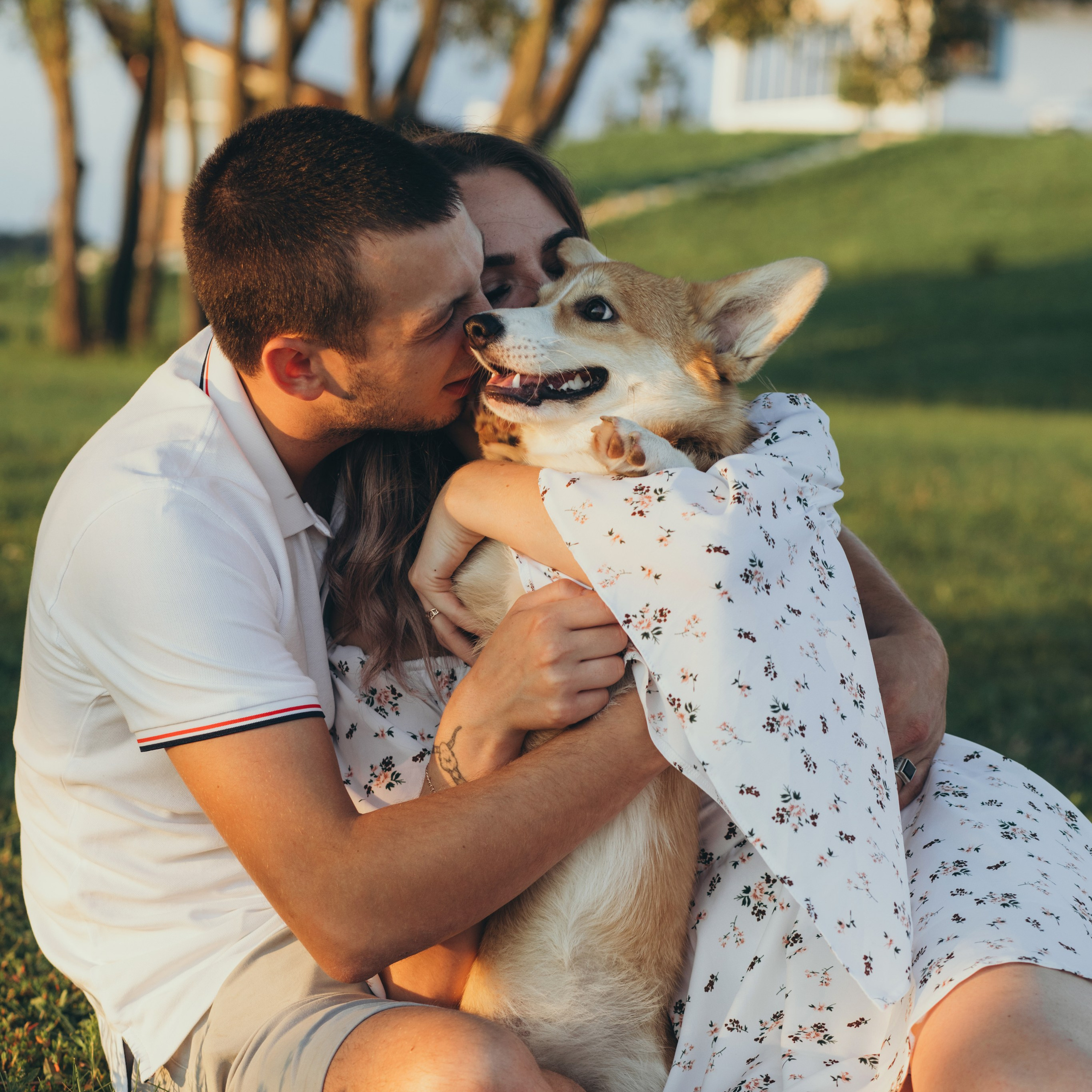 4 лапы, 2 пары ног и одно сердечко на троих ❤