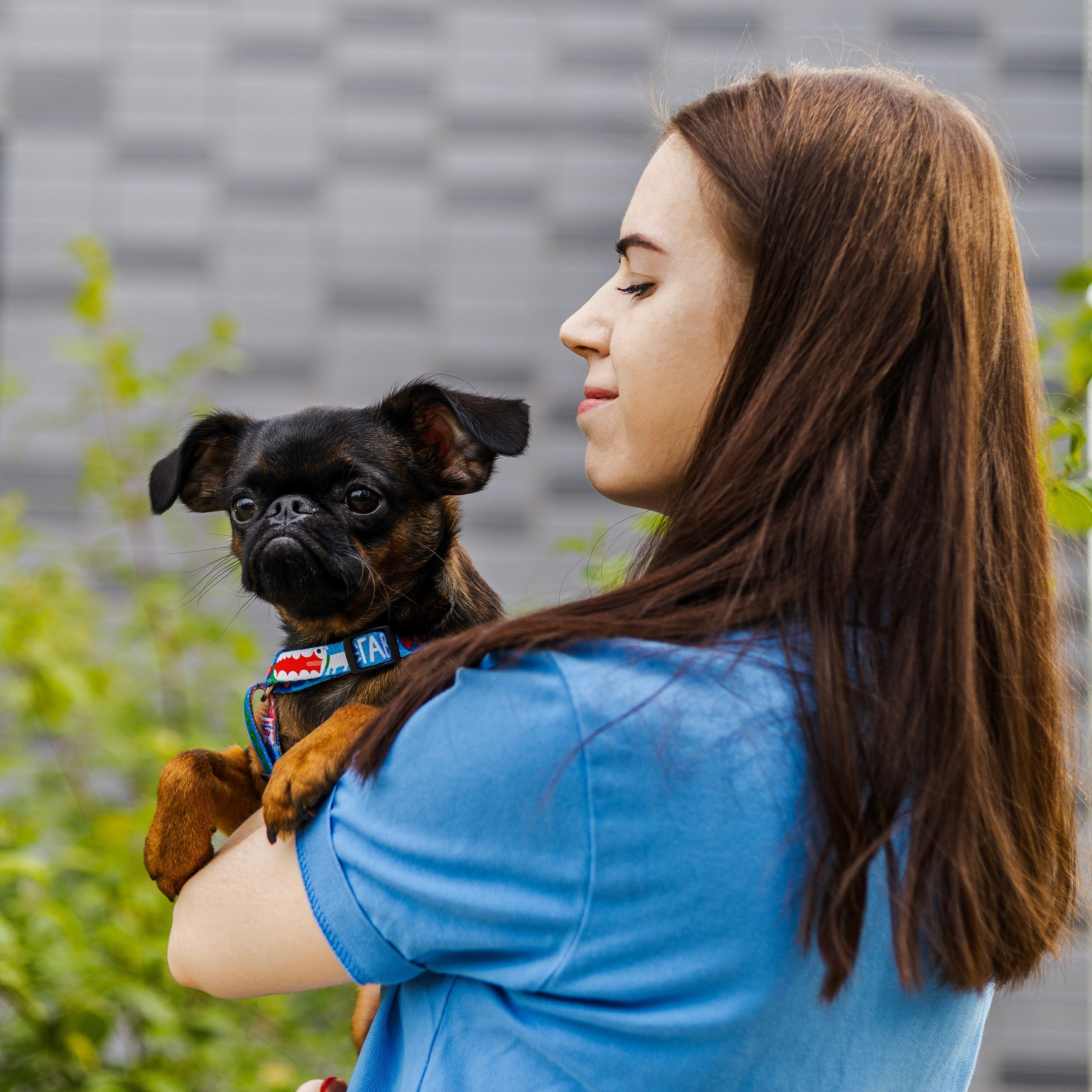 Отзывы. Фотограф-анималист Ксения Шевцова|Москва