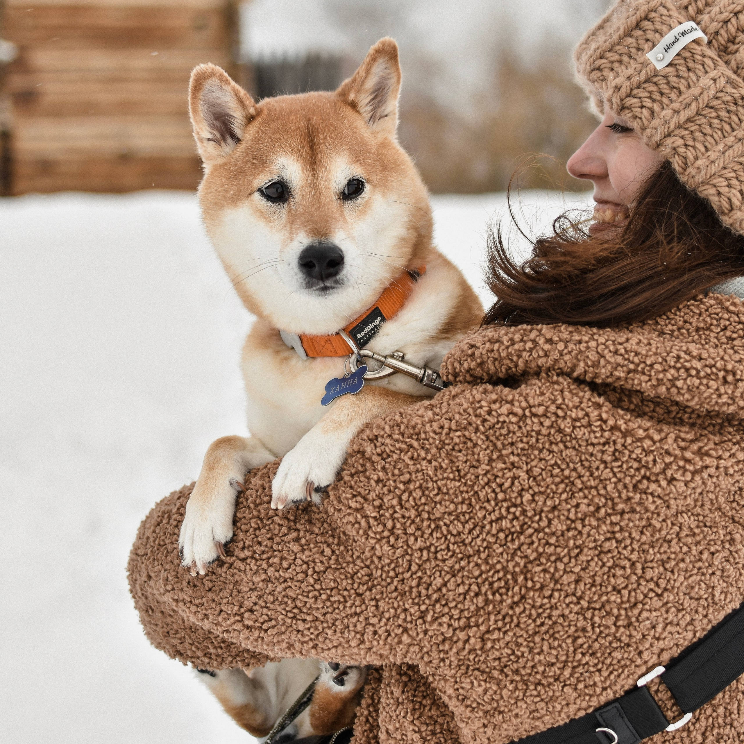 Отзывы. Фотограф-анималист Ксения Шевцова|Москва