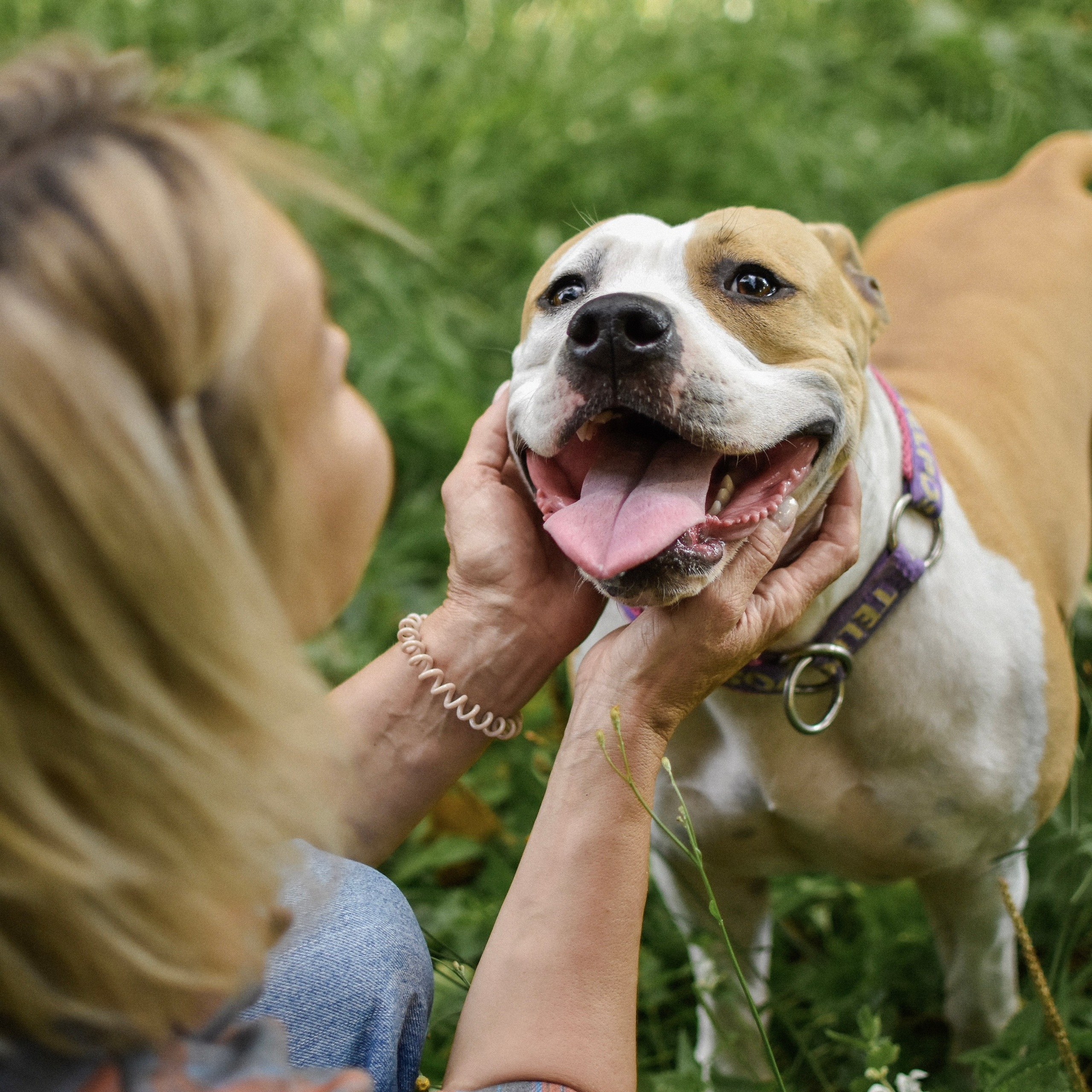Отзывы. Фотограф-анималист Ксения Шевцова|Москва