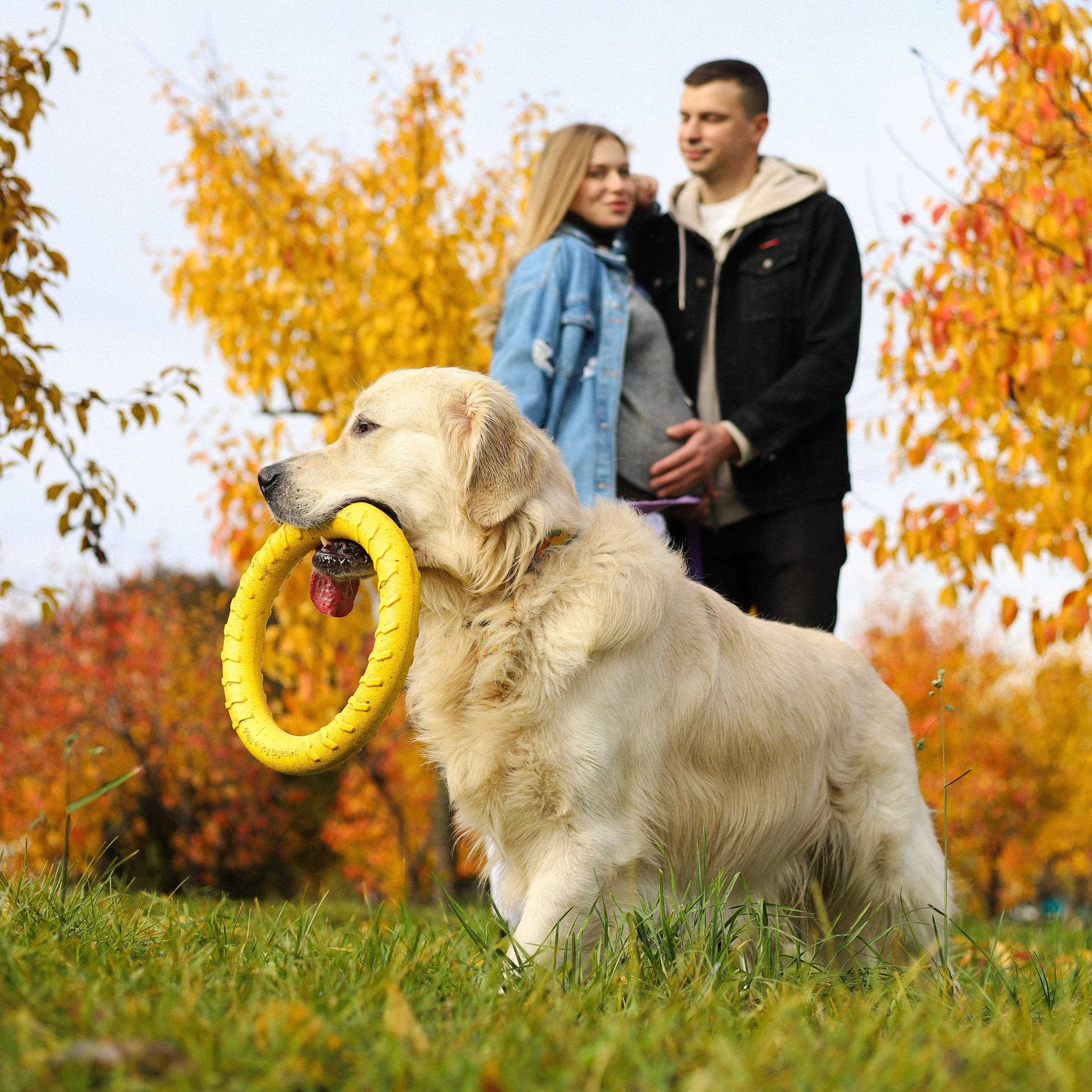 Отзывы. Фотограф-анималист Ксения Шевцова|Москва