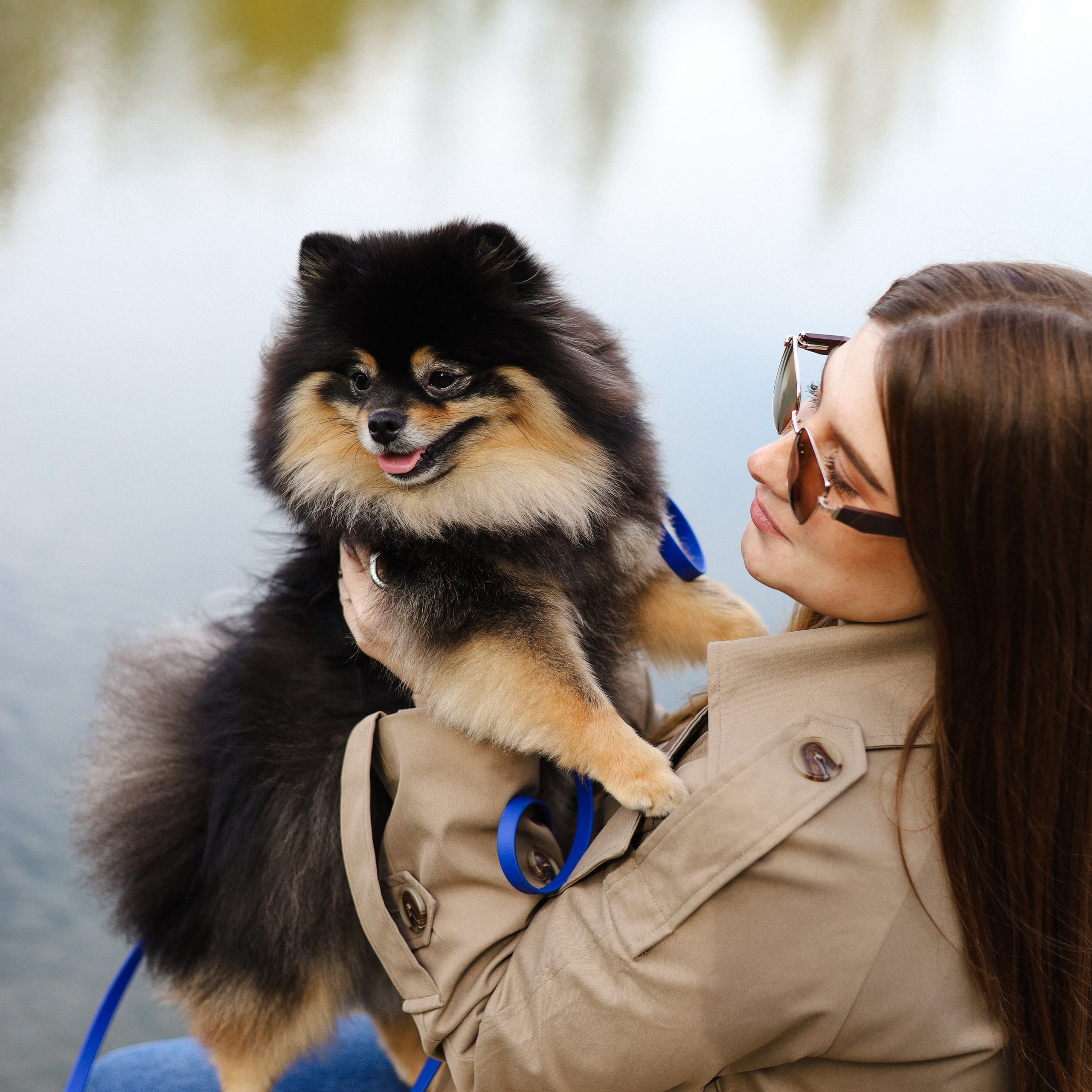Отзывы. Фотограф-анималист Ксения Шевцова|Москва