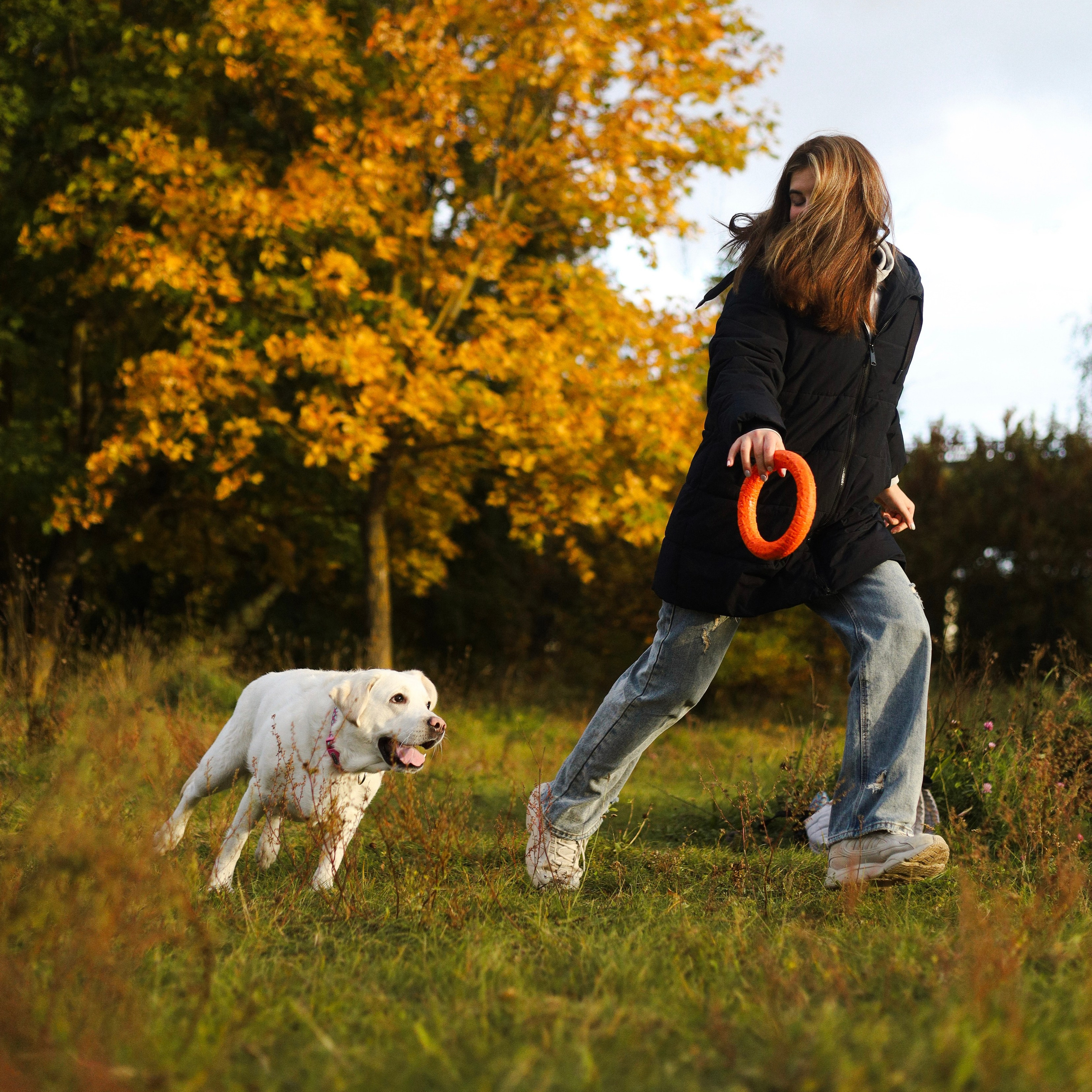 Отзывы. Фотограф-анималист Ксения Шевцова|Москва
